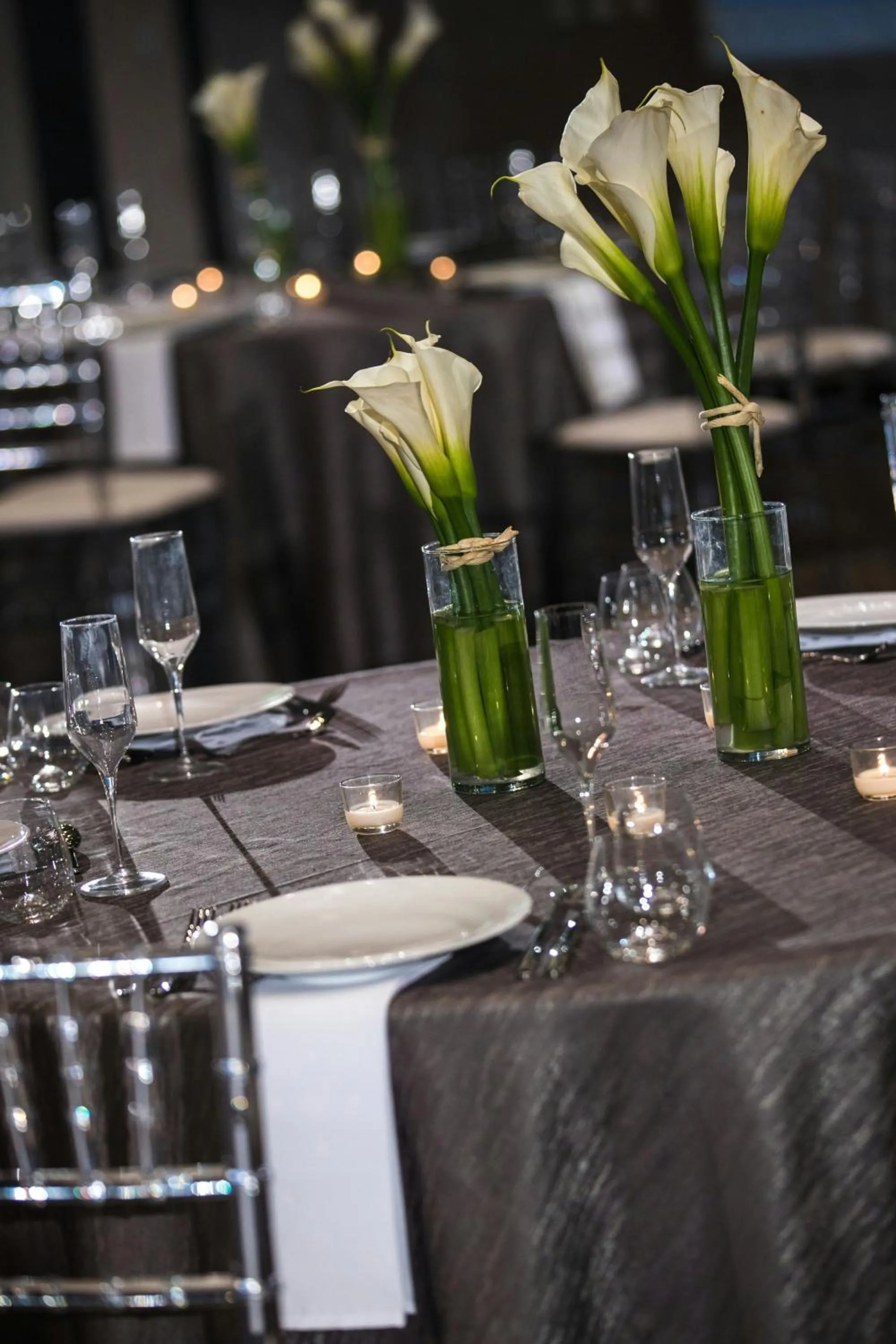 Banquet/Function facilities in Renaissance Atlanta Airport Gateway Hotel