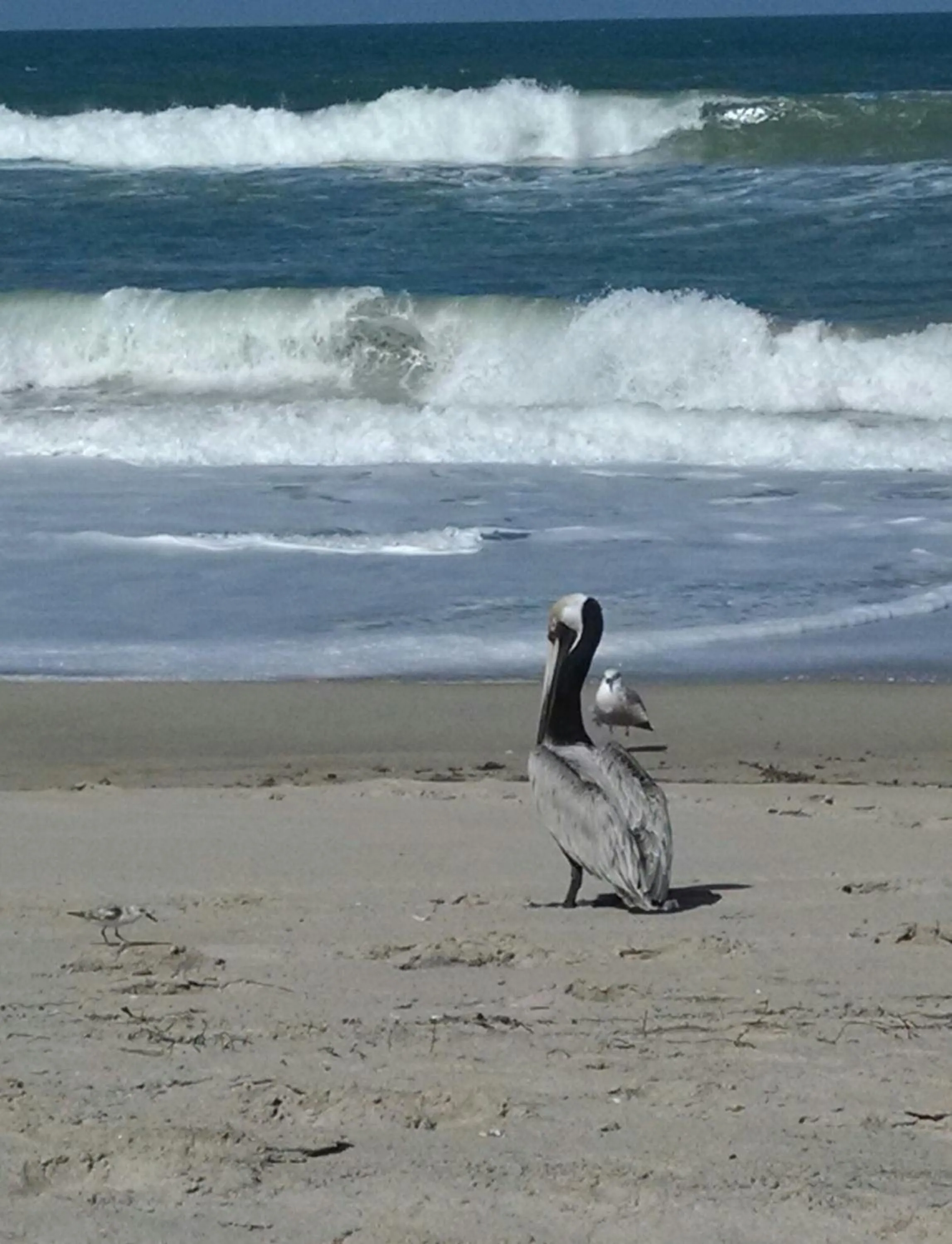 Off site in 1 Beige Cozy Bungalow or 1 White Cozy Efficiency Cottage in Titusville