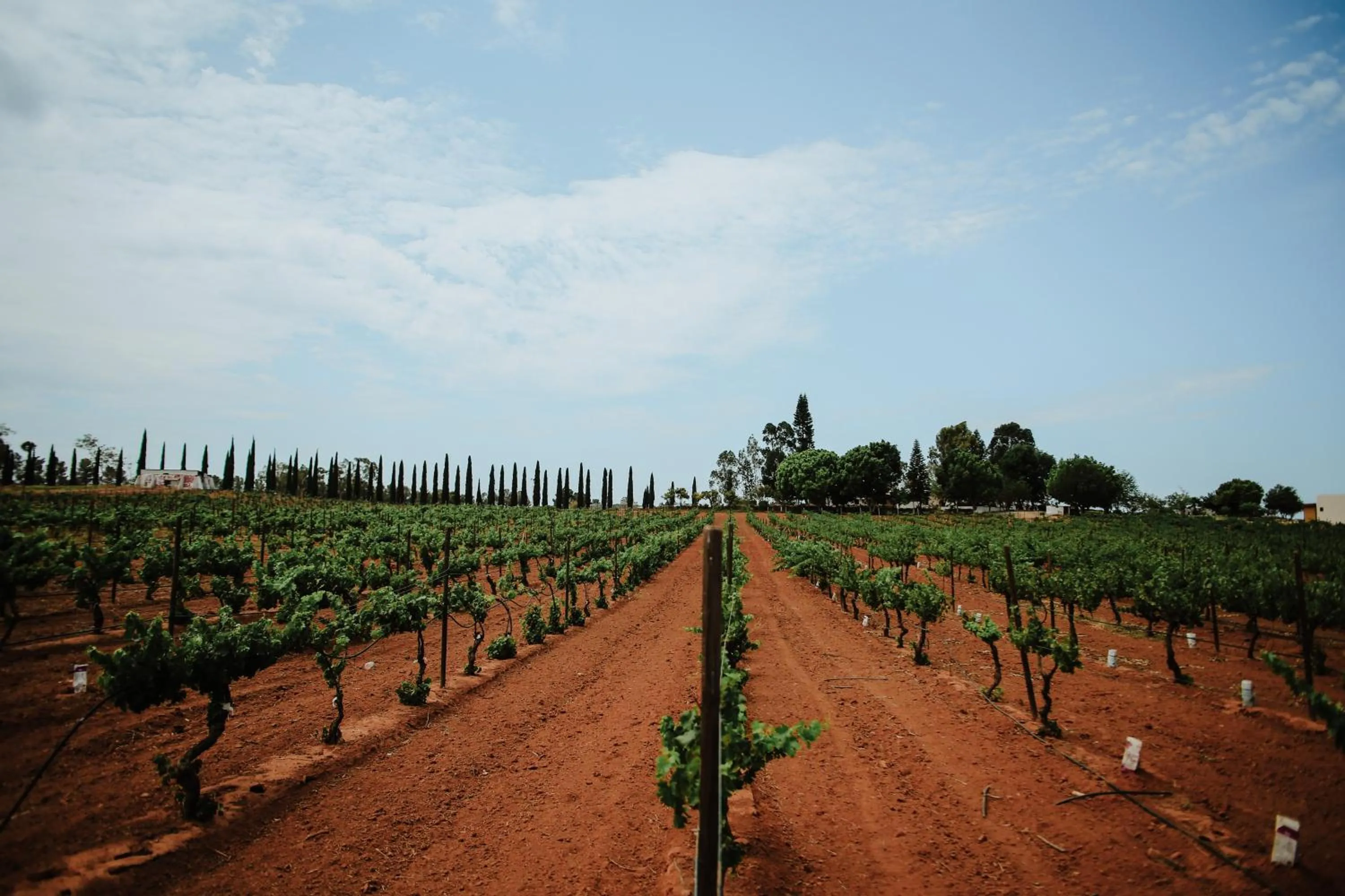 Natural landscape in Rancho el Parral