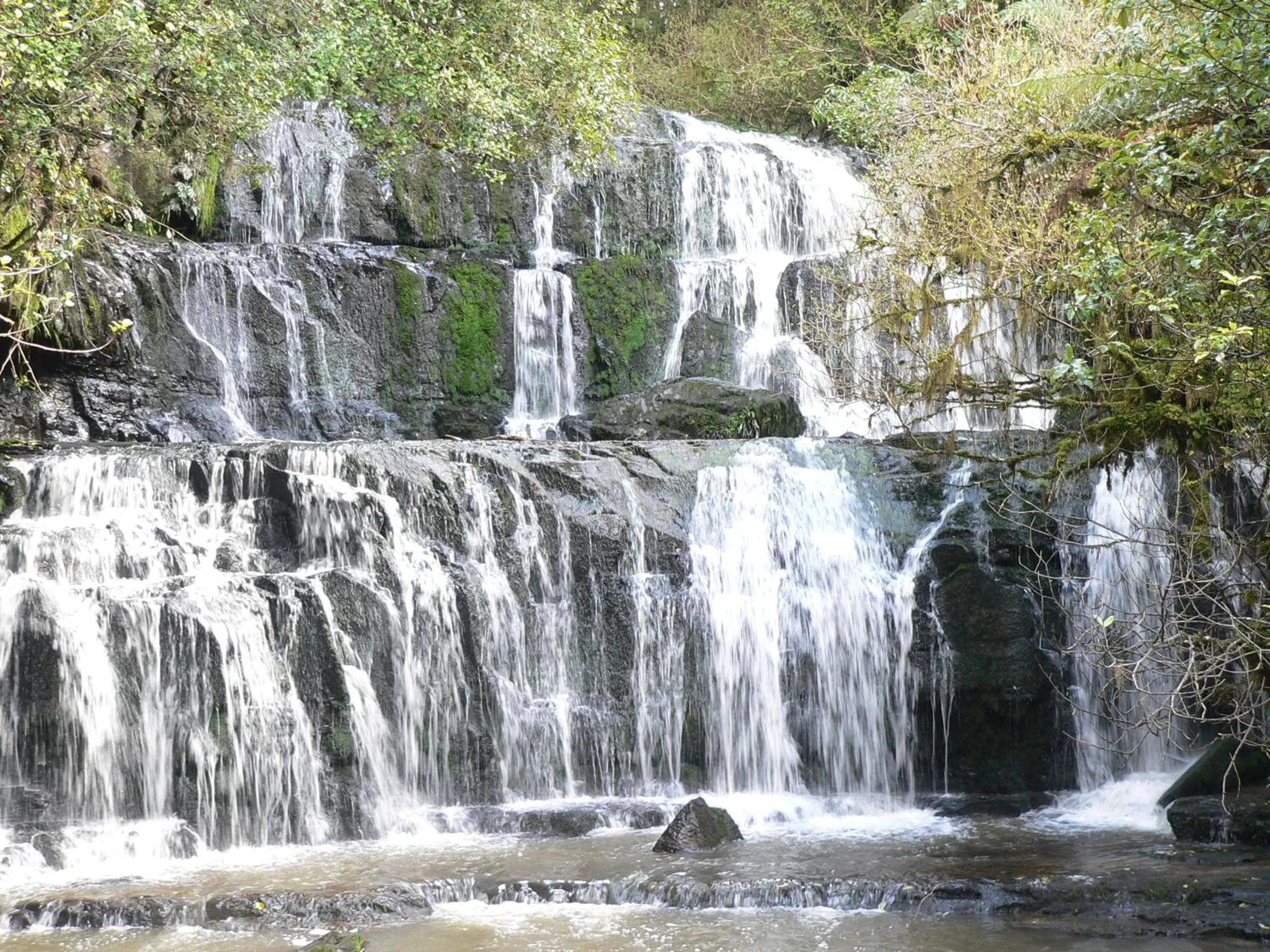 Natural landscape in Molyneux House