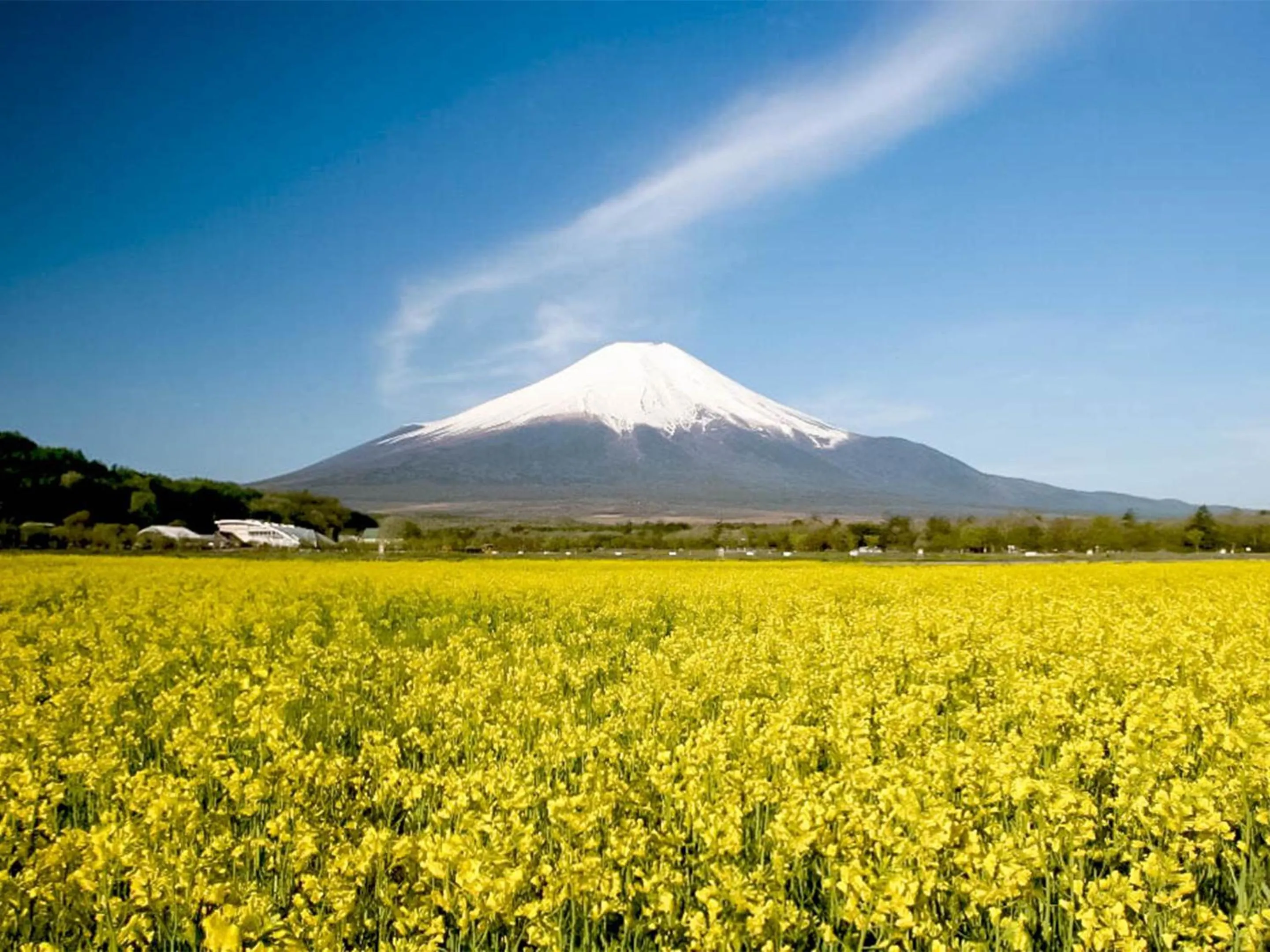 Nearby landmark in Yamanakako Pension Pause