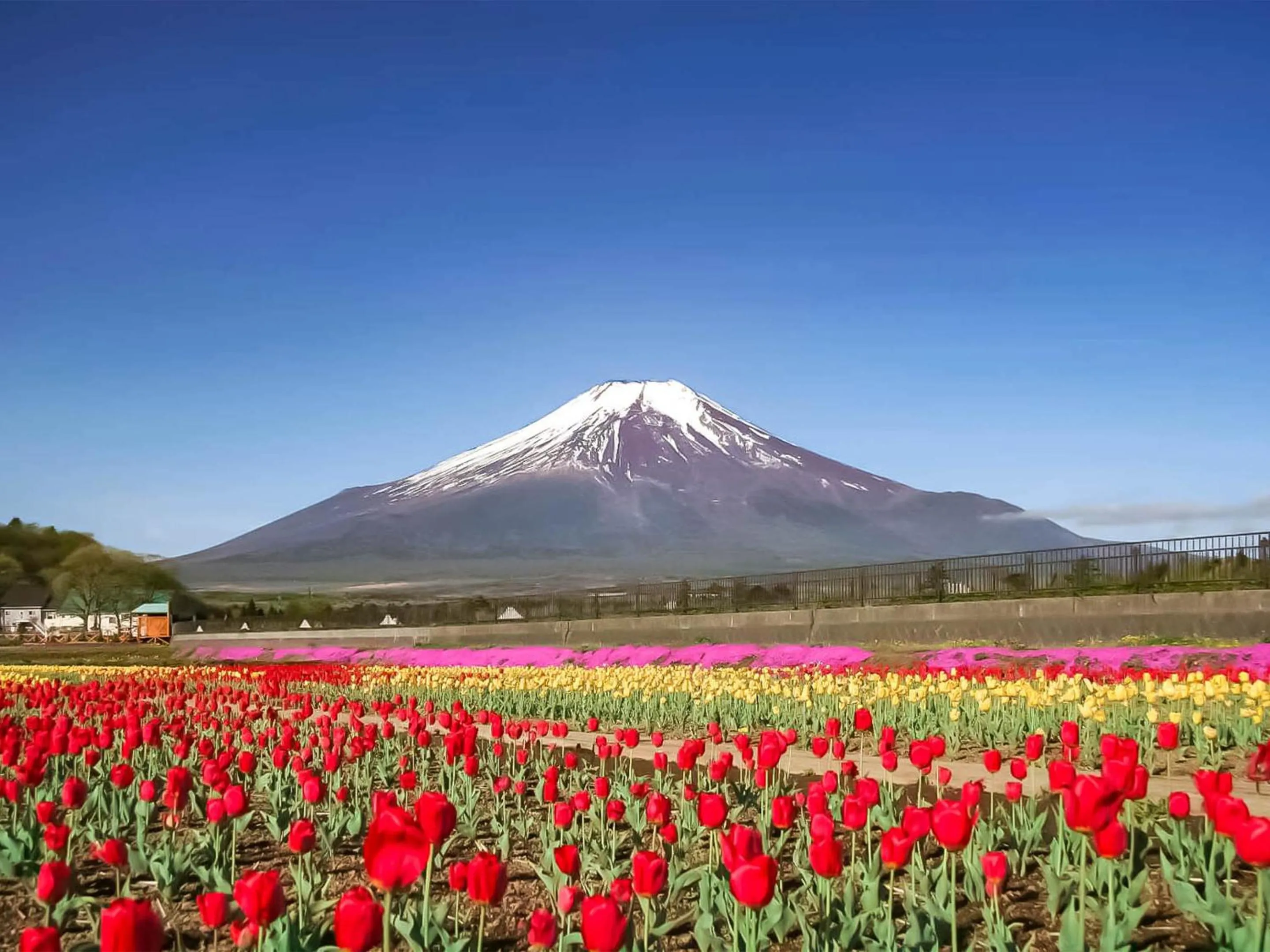 Nearby landmark in Yamanakako Pension Pause