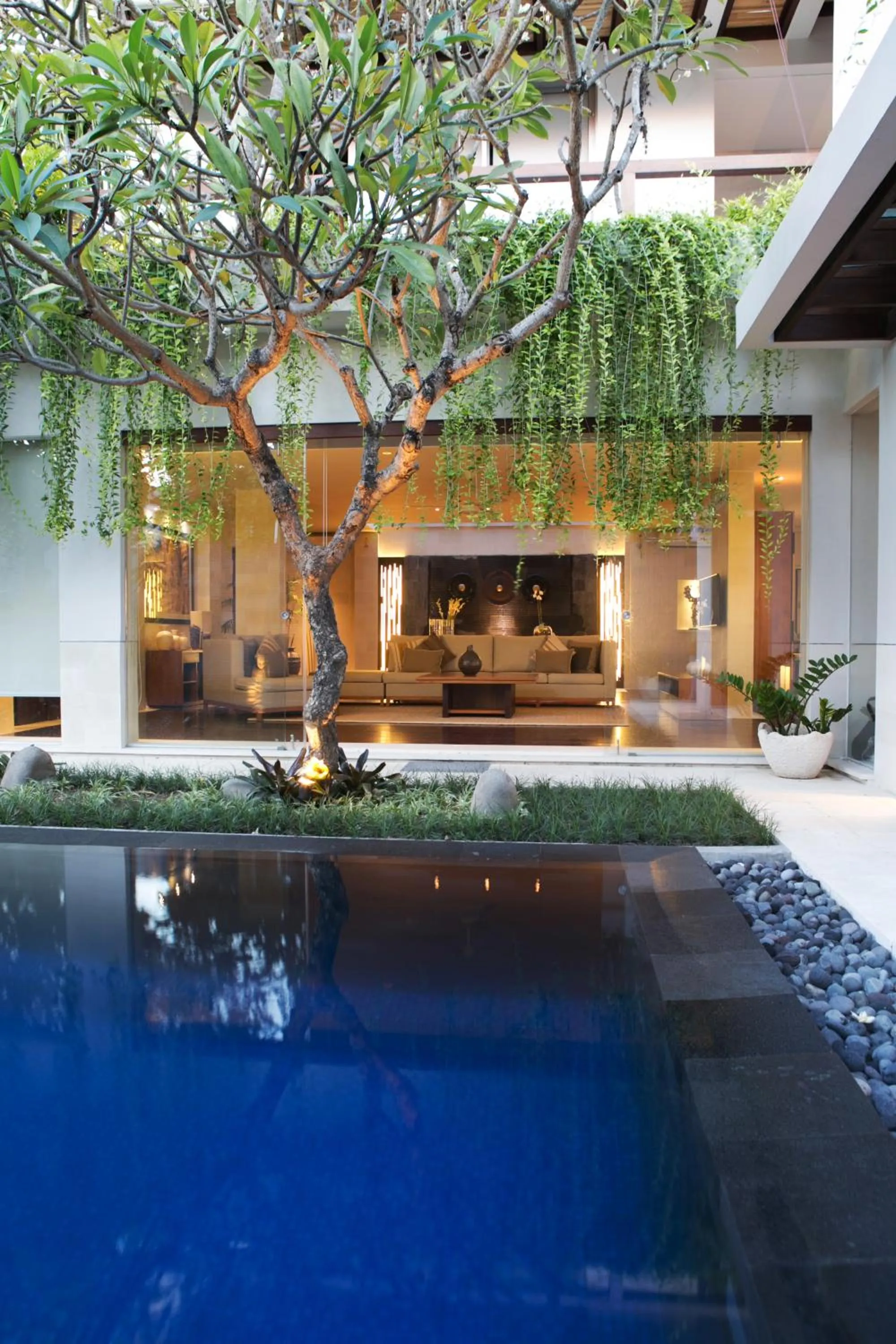 Garden in Kedonganan Beach Villa