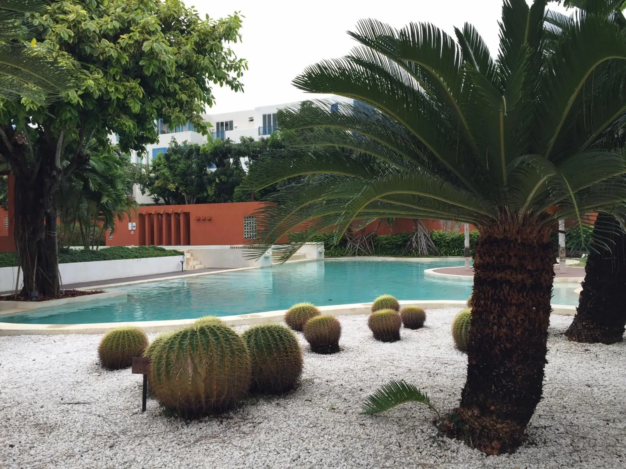 Away Las Tortugas at Hua Hin