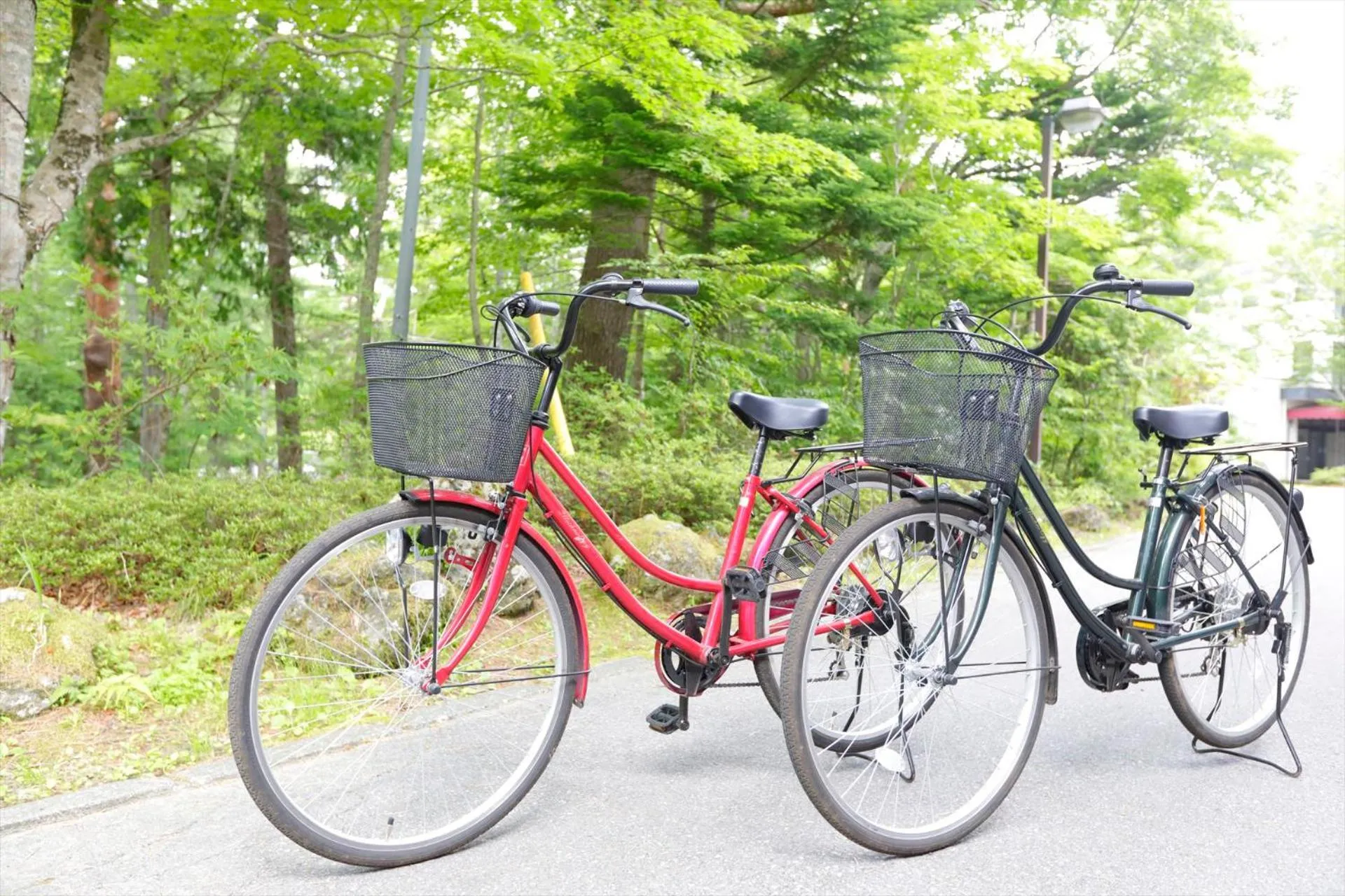 Activities in Yamanakako-Asahigaoka-Onsen Hotel Seikei