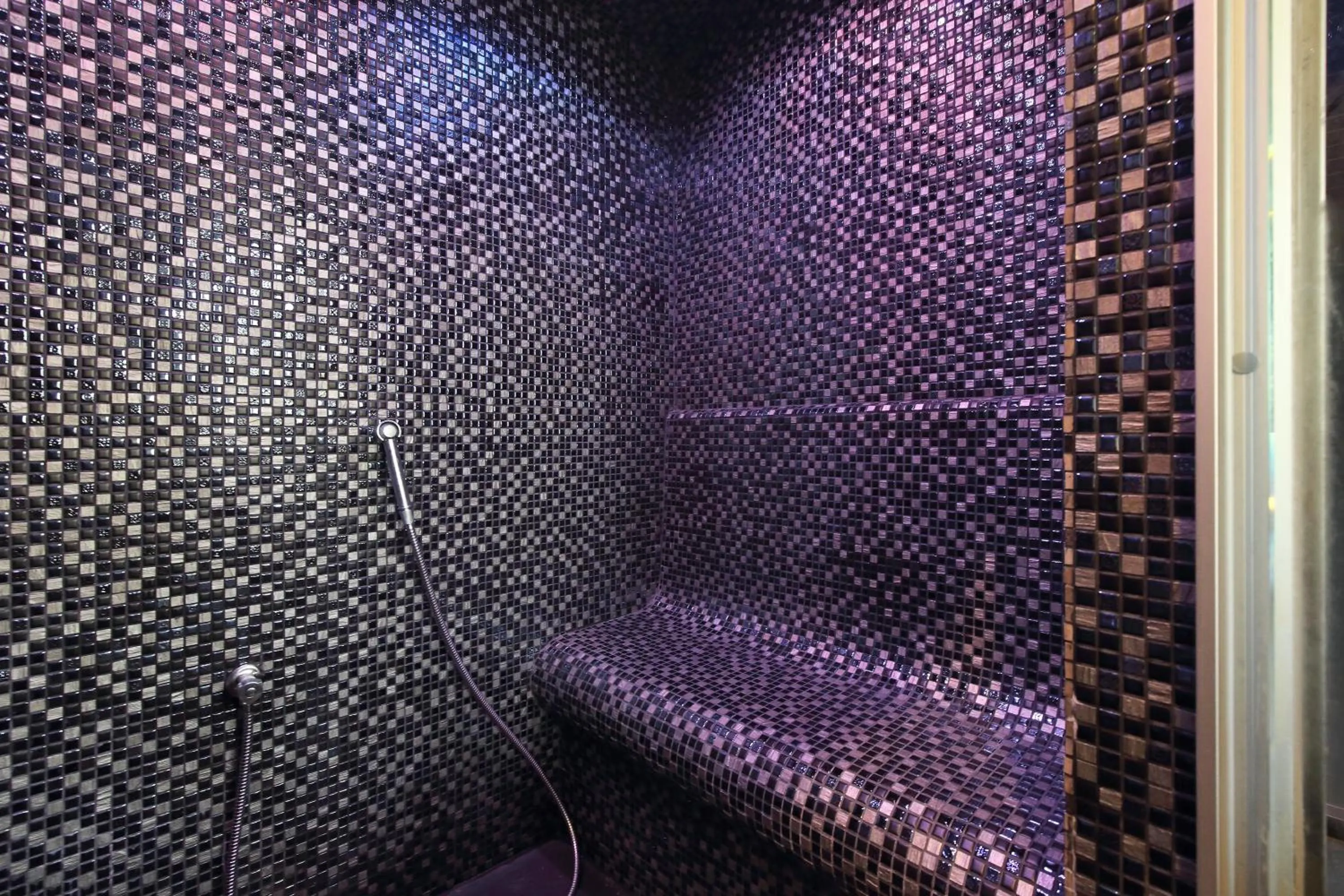 Steam room in Carlsbad INN hotel & apartments