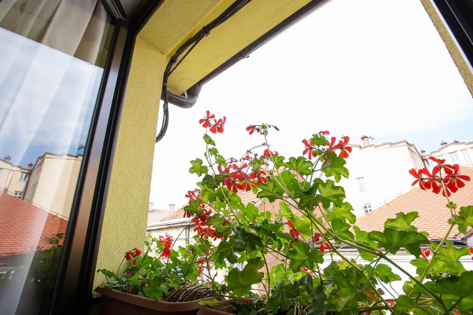 Other in Heartland City B&B