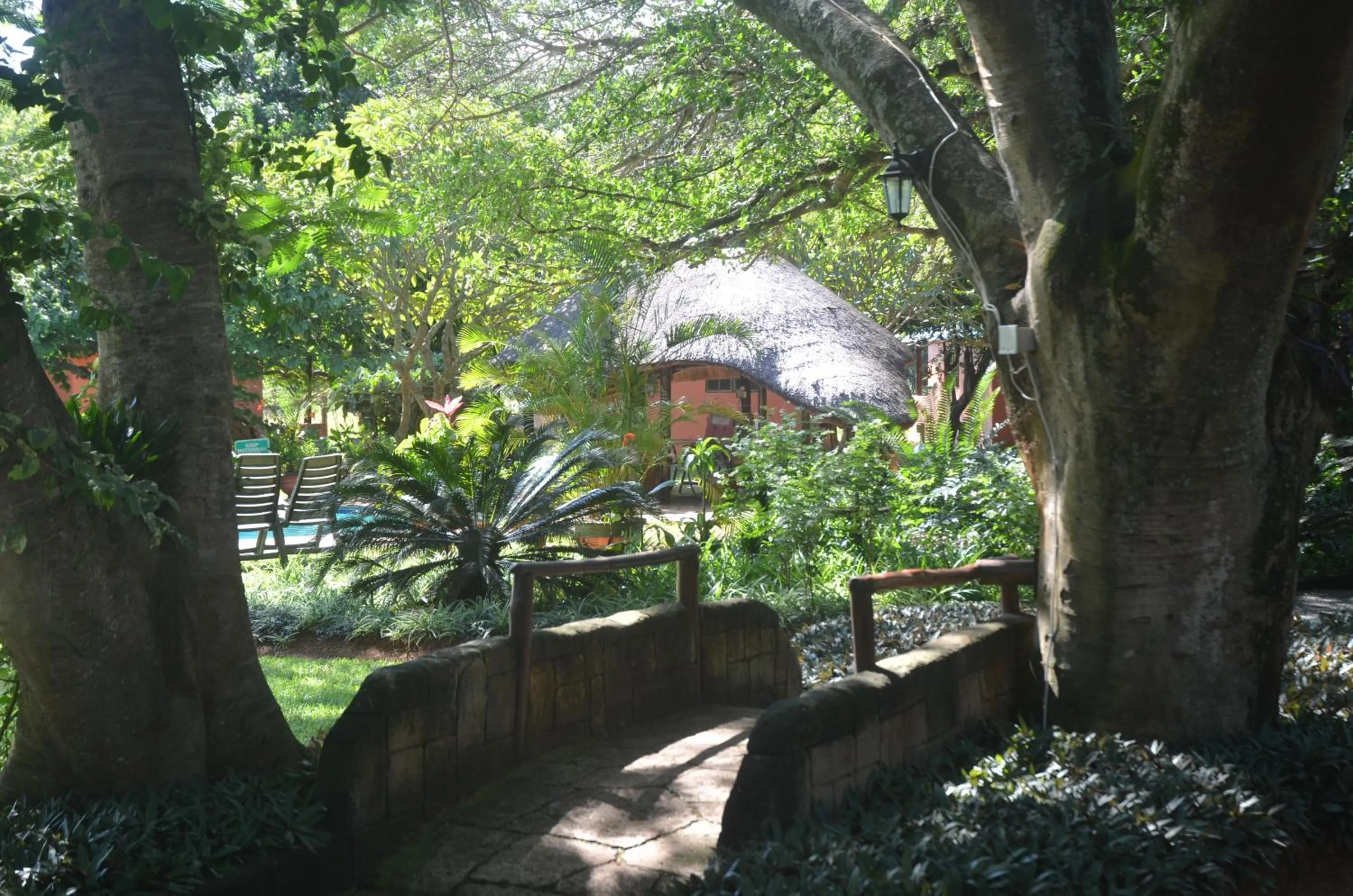 Garden in Bushbaby Lodge & Camping