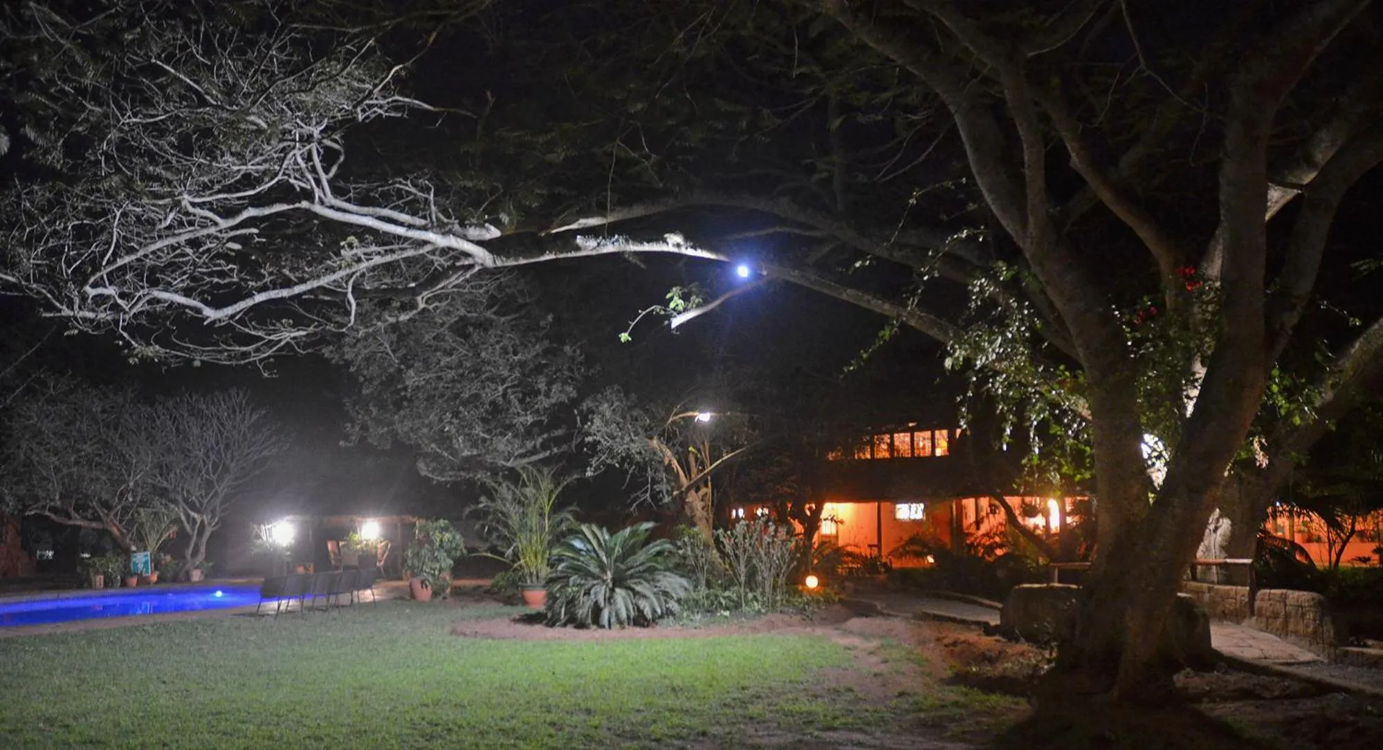 Garden view in Bushbaby Lodge & Camping
