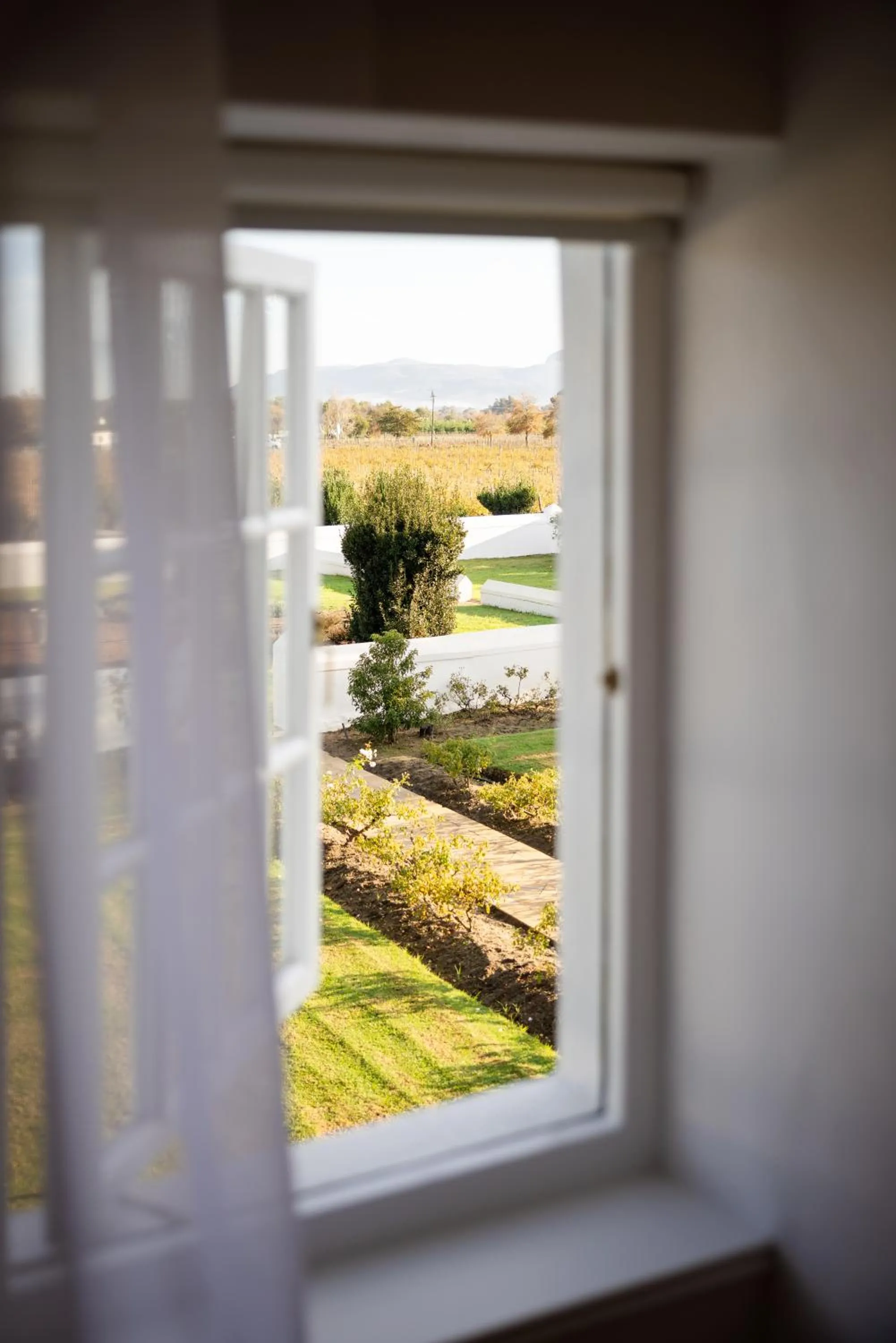 Allèe Bleue Wine Estate