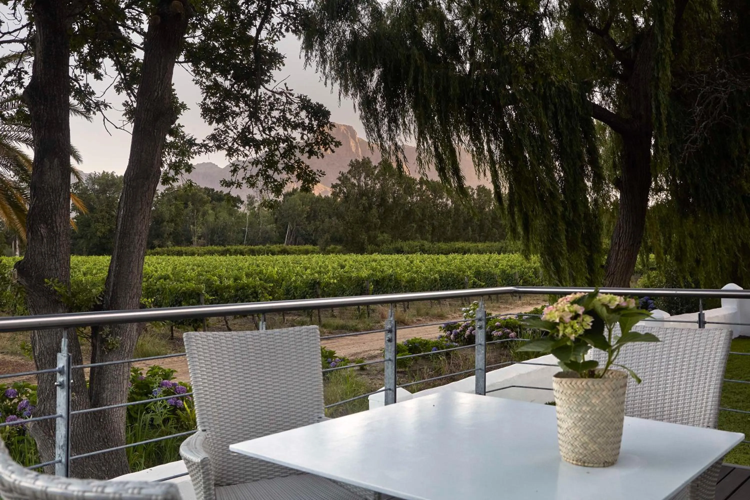 Patio in Allèe Bleue Wine Estate