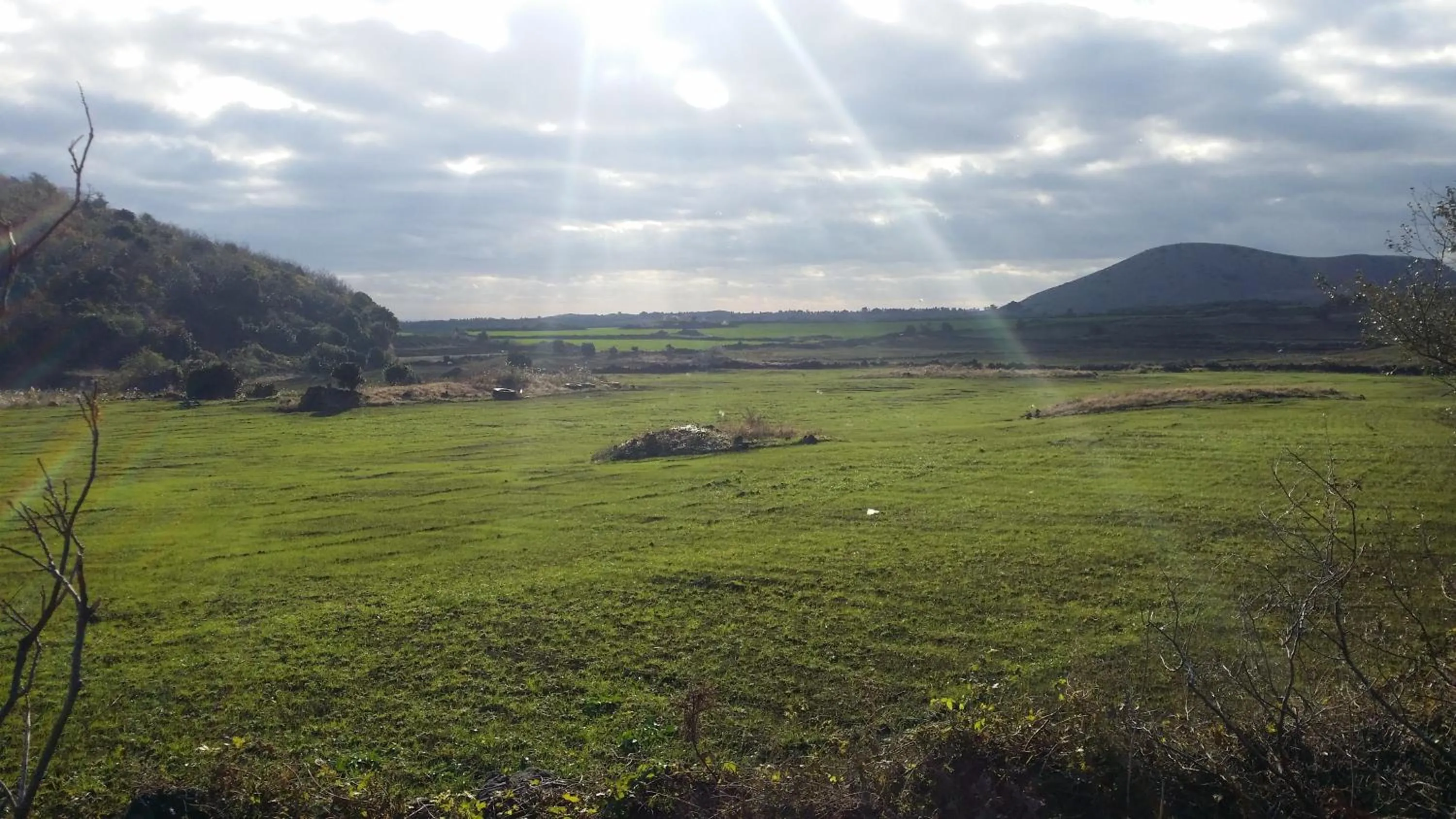 View (from property/room) in Jun House