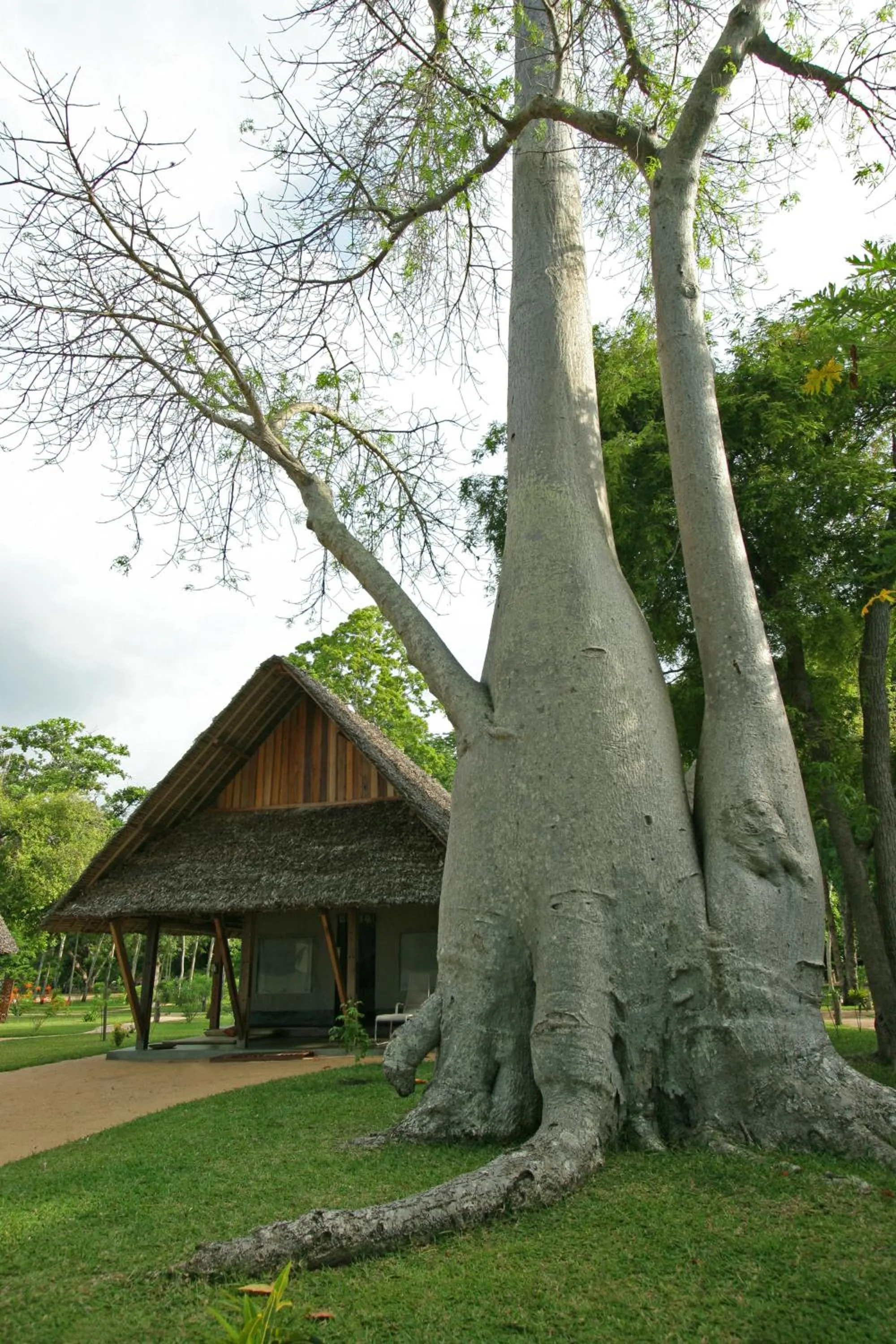 Garden in Eden Lodge