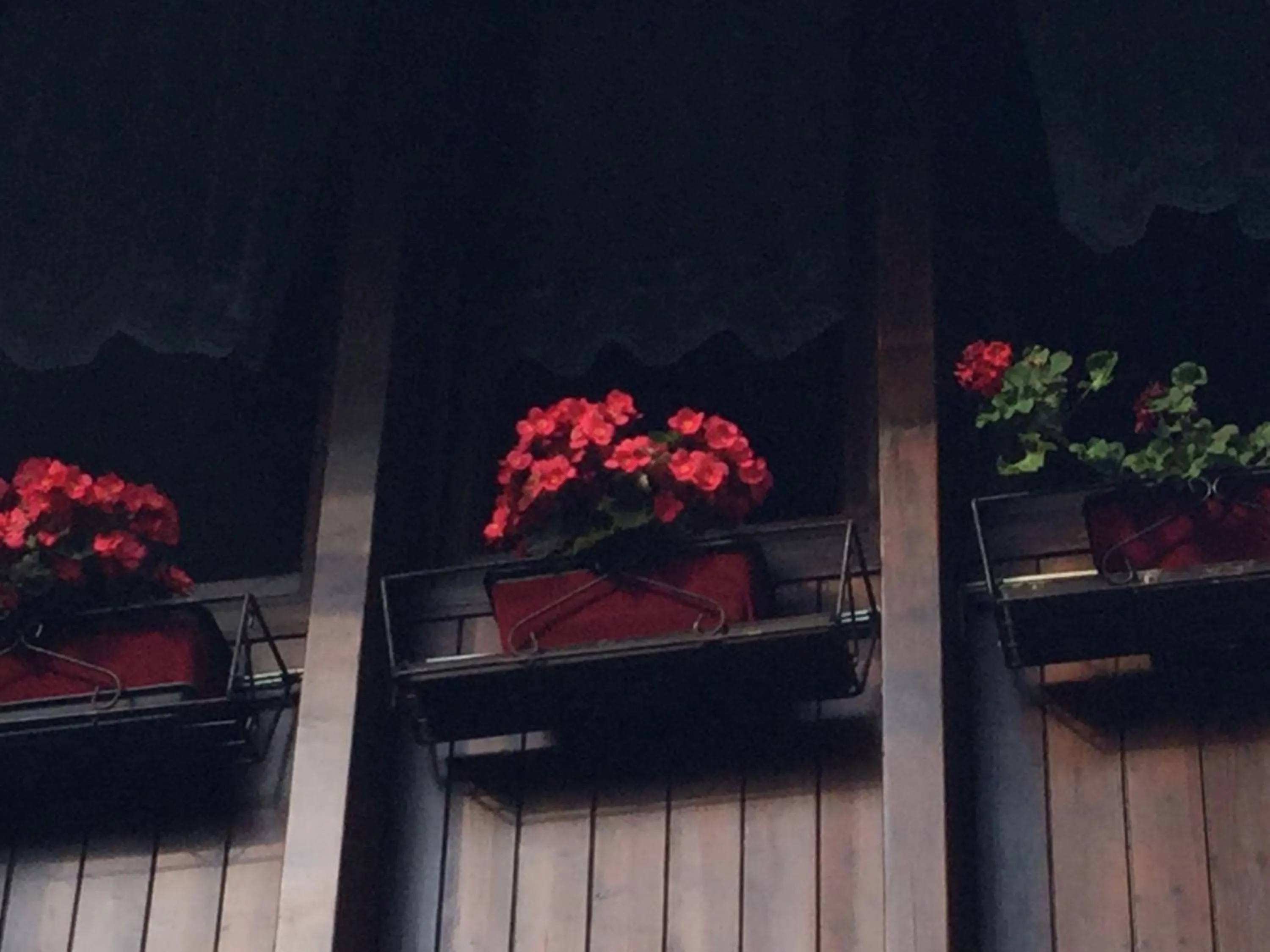 Decorative detail in BnB Trento