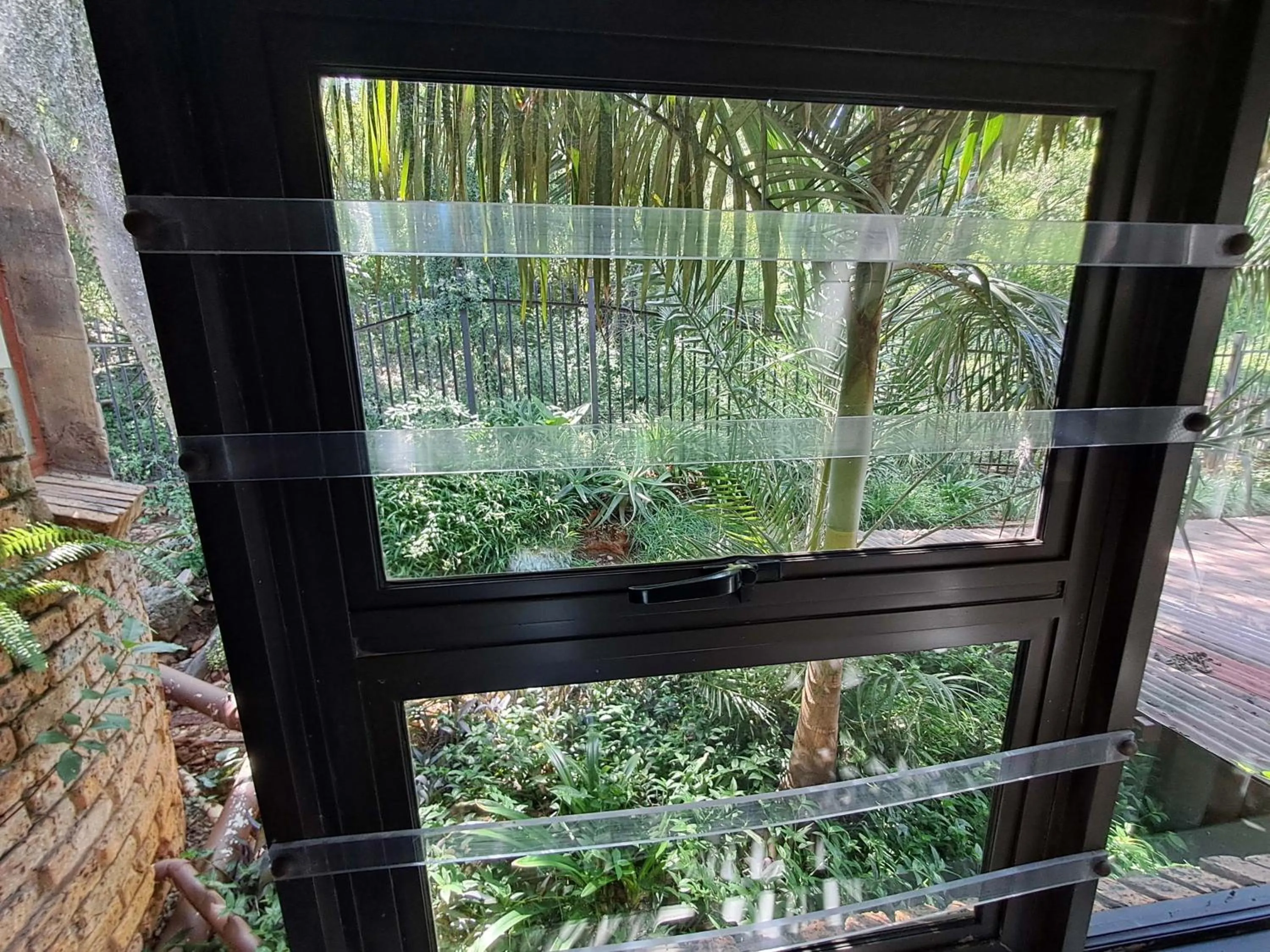 Mountain view in Belle Vue Guesthouse