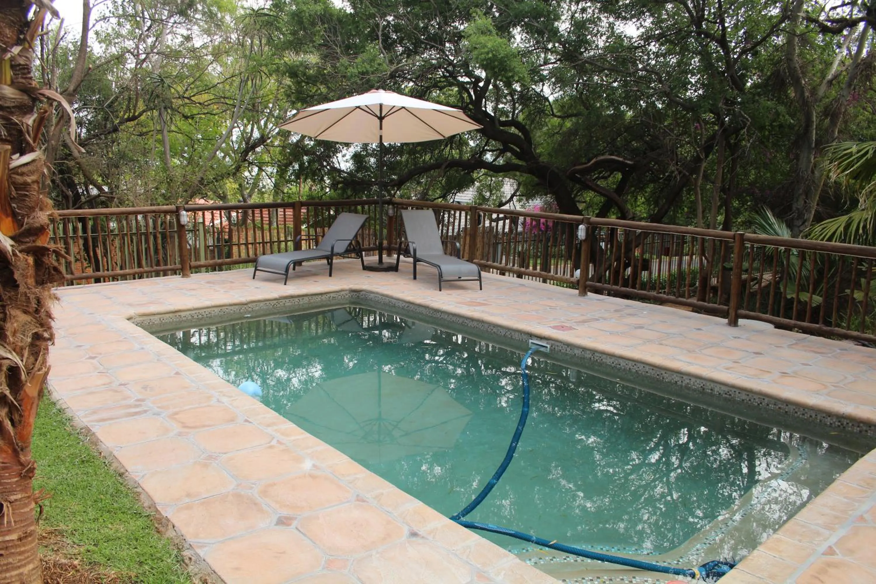 Swimming pool in Belle Vue Guesthouse