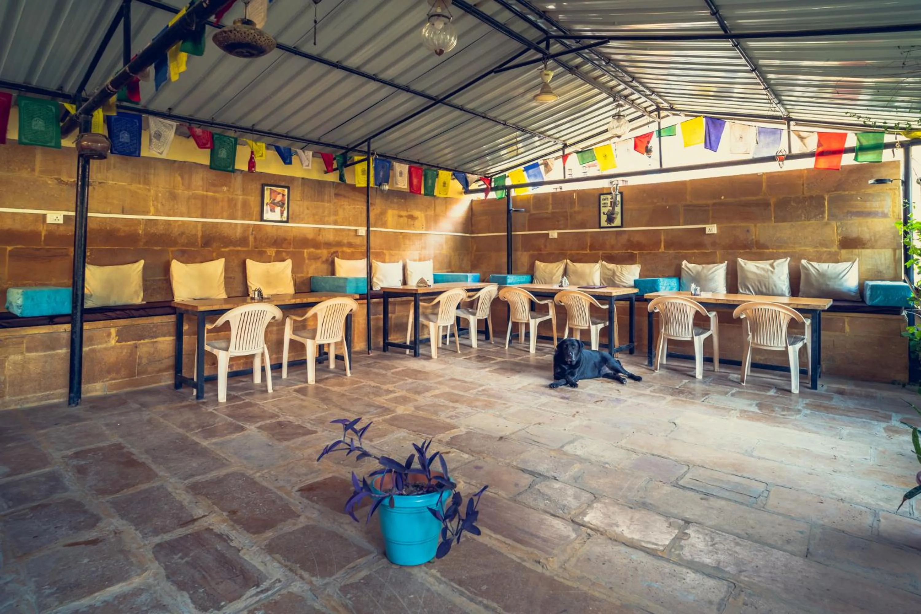 Restaurant/places to eat in Moustache Jaisalmer