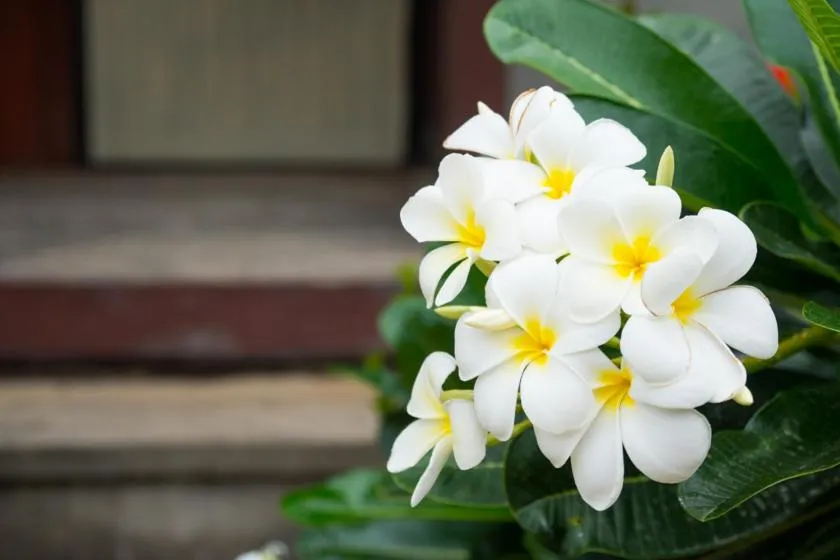 Other in Weekender Bungalow