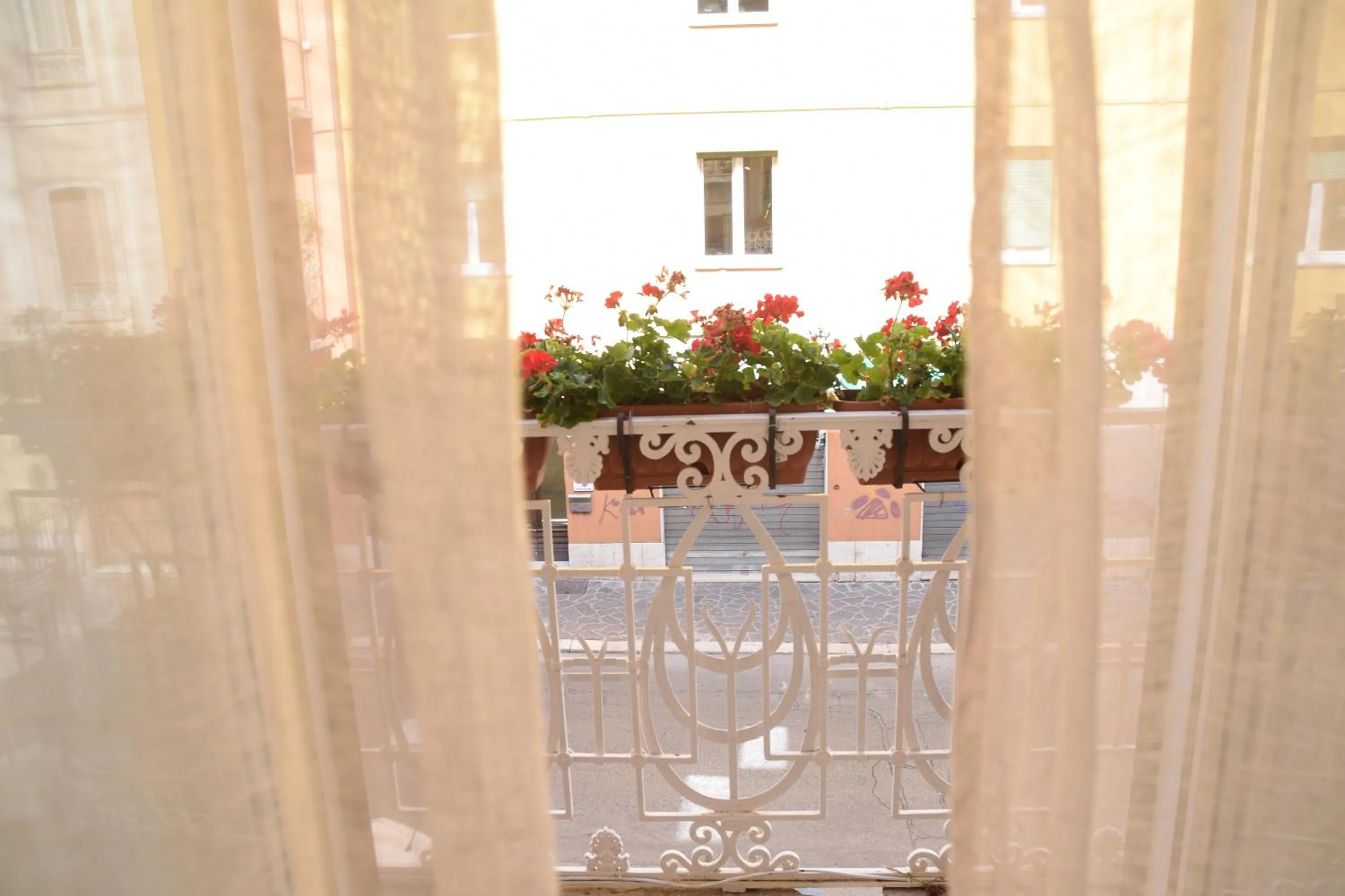 Street view in Luciano And Son