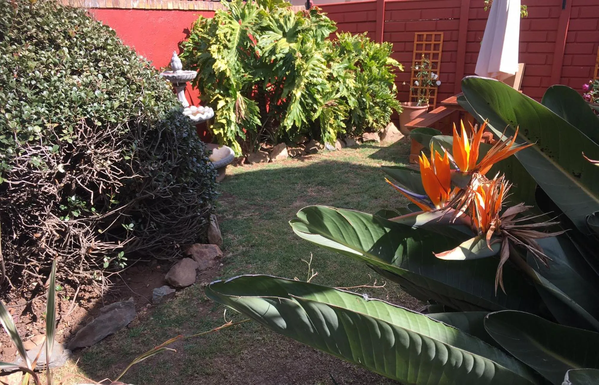 Garden in House on Morninghill