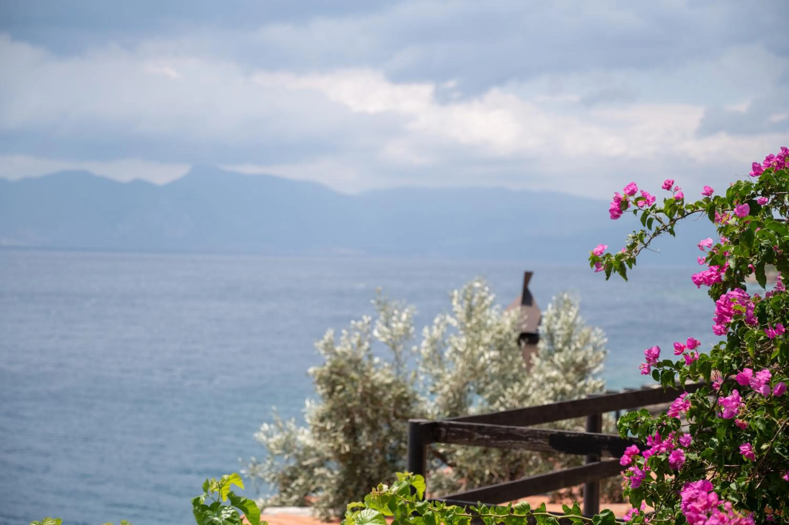 Day in Agrilia Koromili Retreat