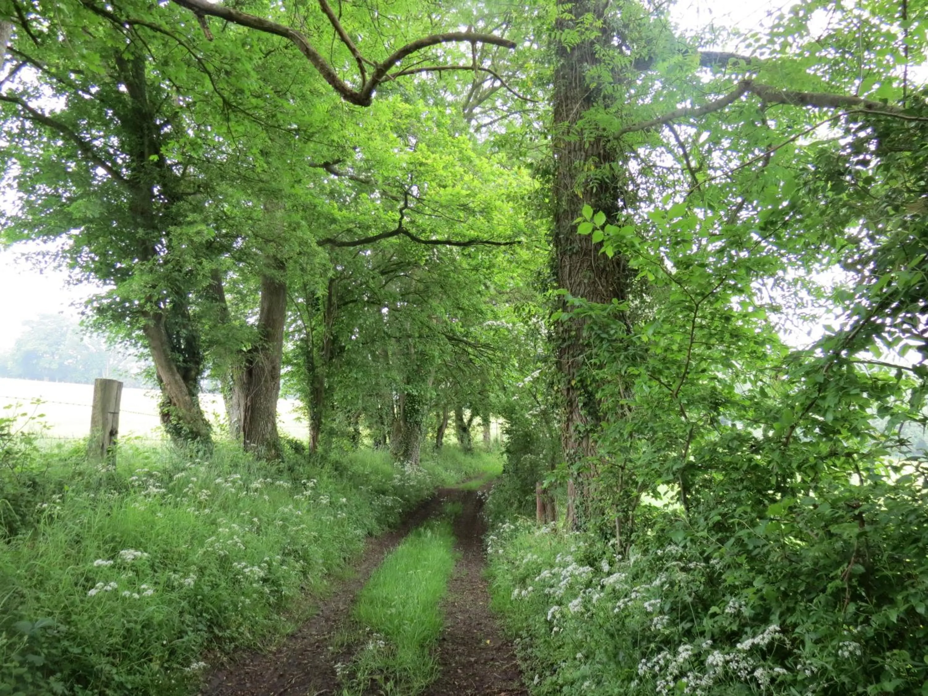 Neighbourhood in Le Chant Des Fees