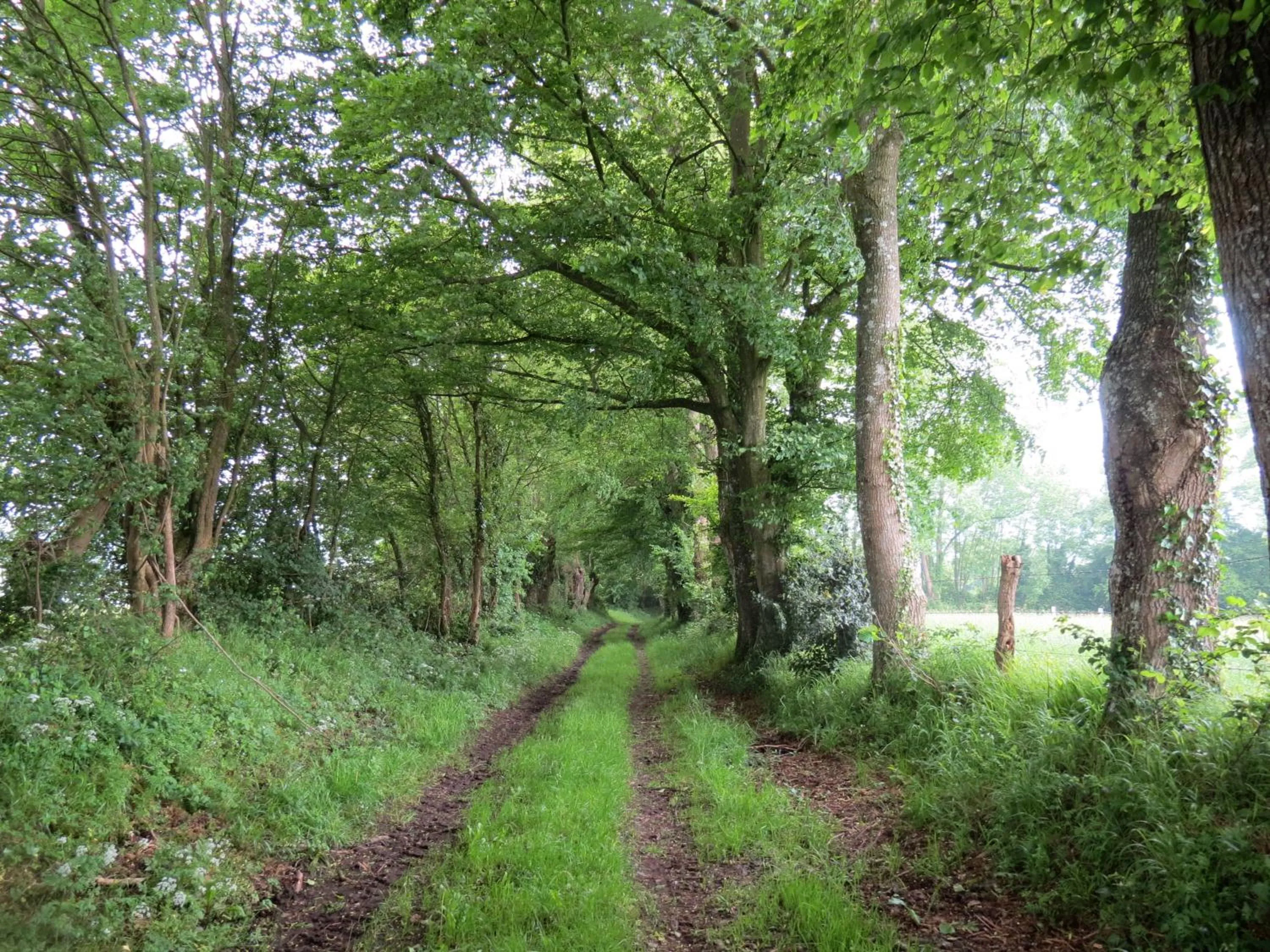 Hiking in Le Chant Des Fees