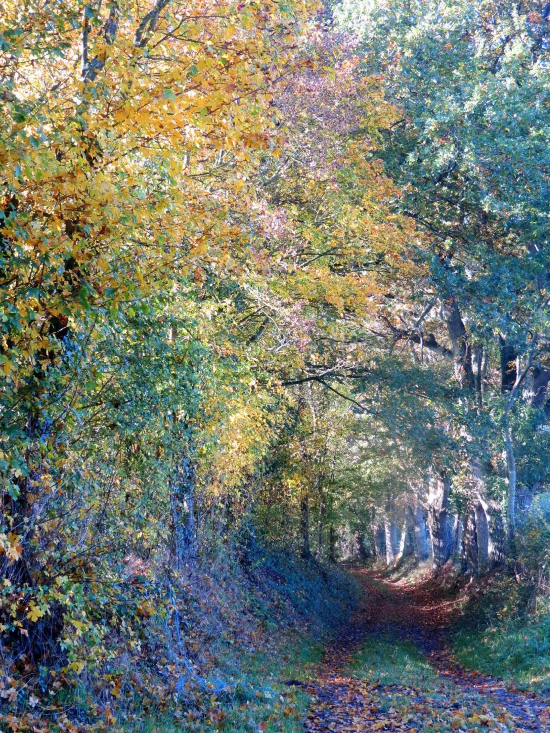 Neighbourhood in Le Chant Des Fees