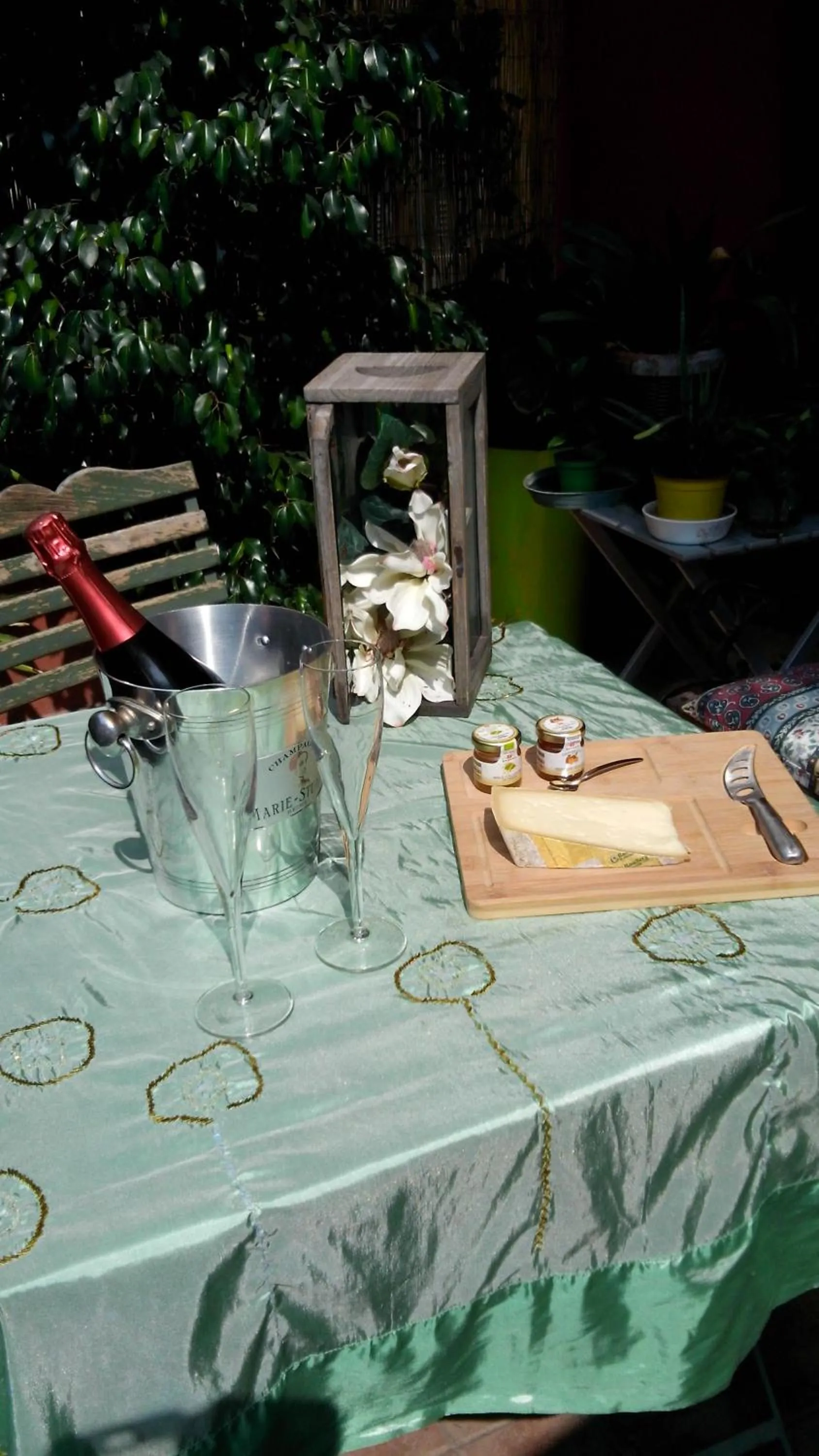 Garden in Casa Carolina