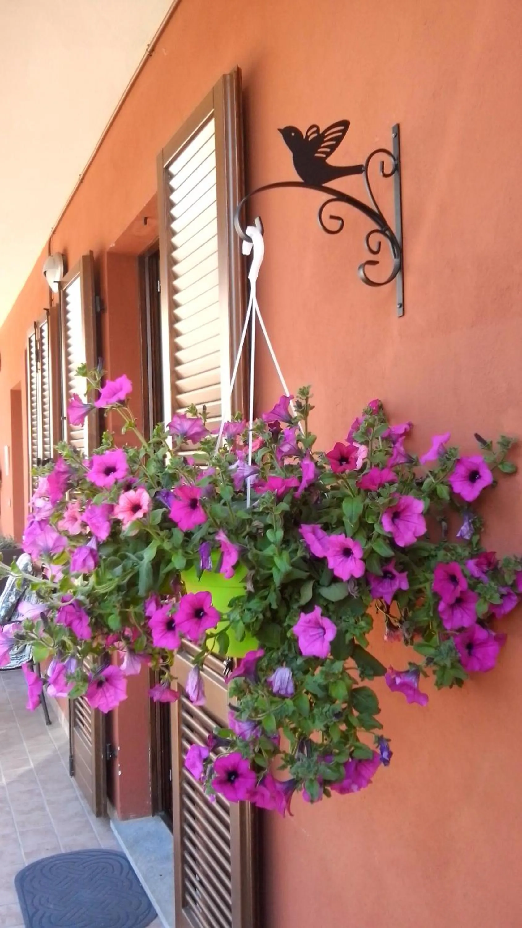 Facade/entrance in Casa Carolina