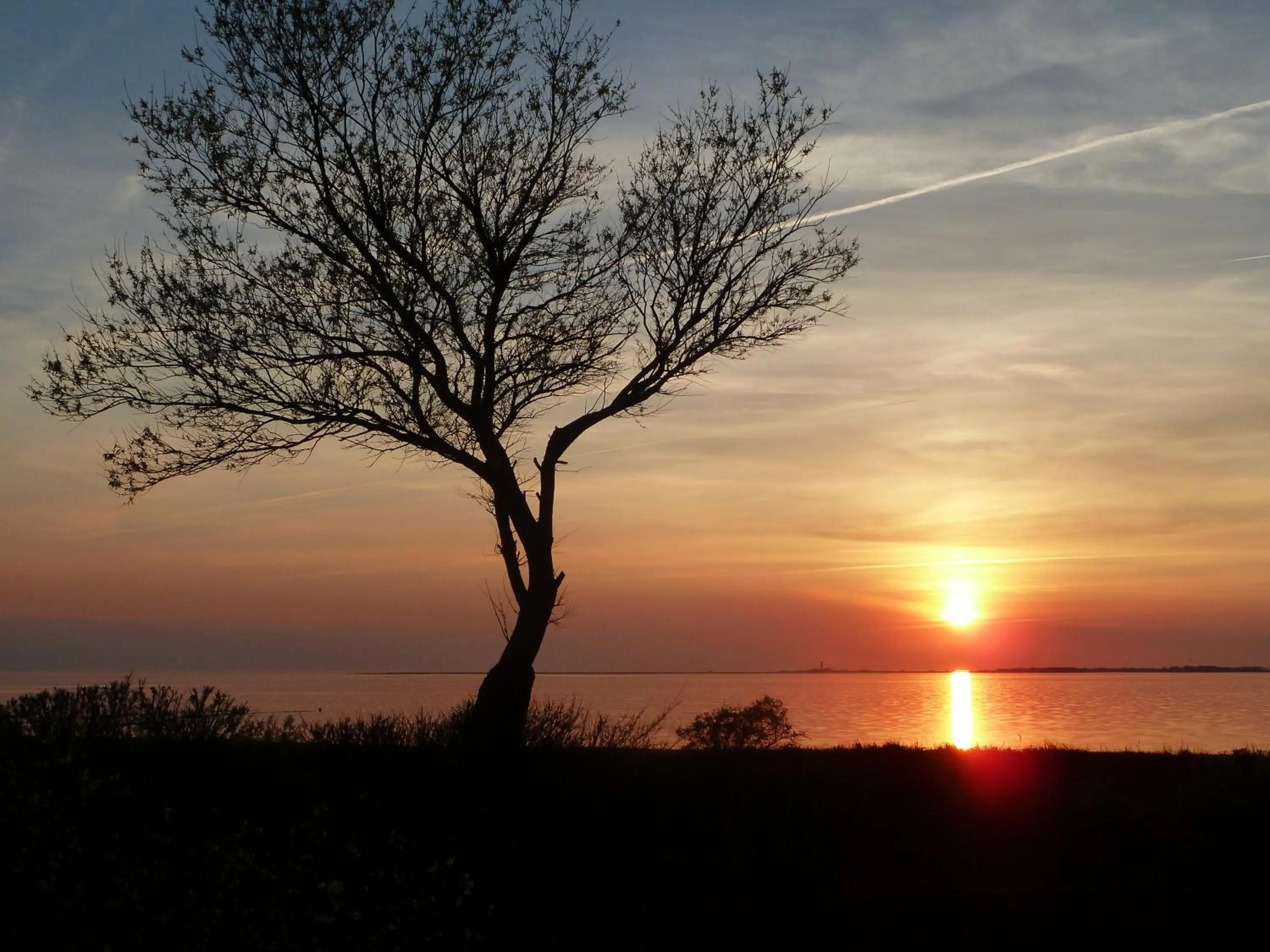 Sea view in Haus Achtern Diek in erster Reihe am Meer