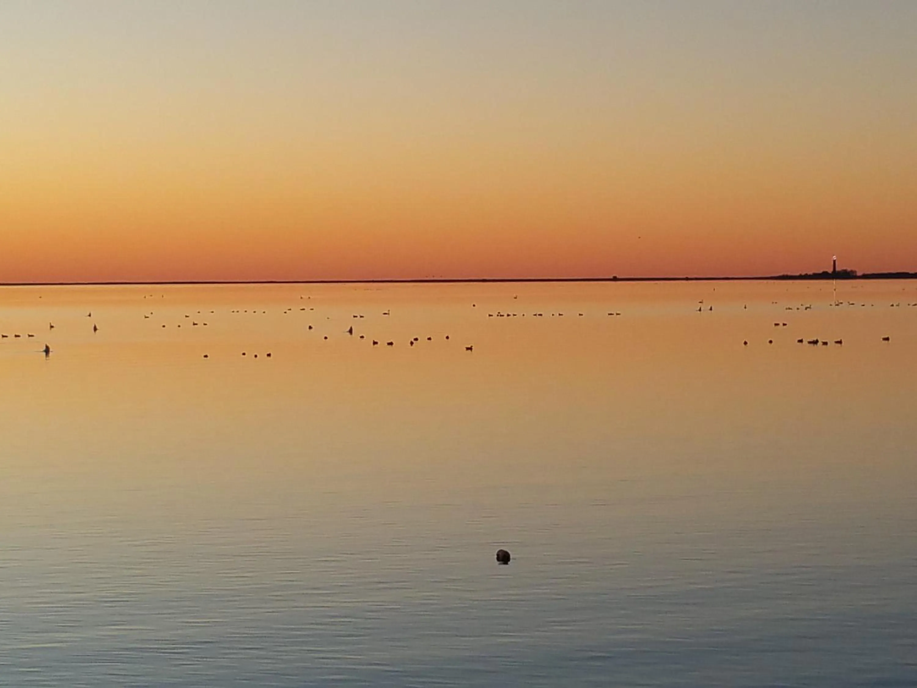 View (from property/room) in Haus Achtern Diek in erster Reihe am Meer