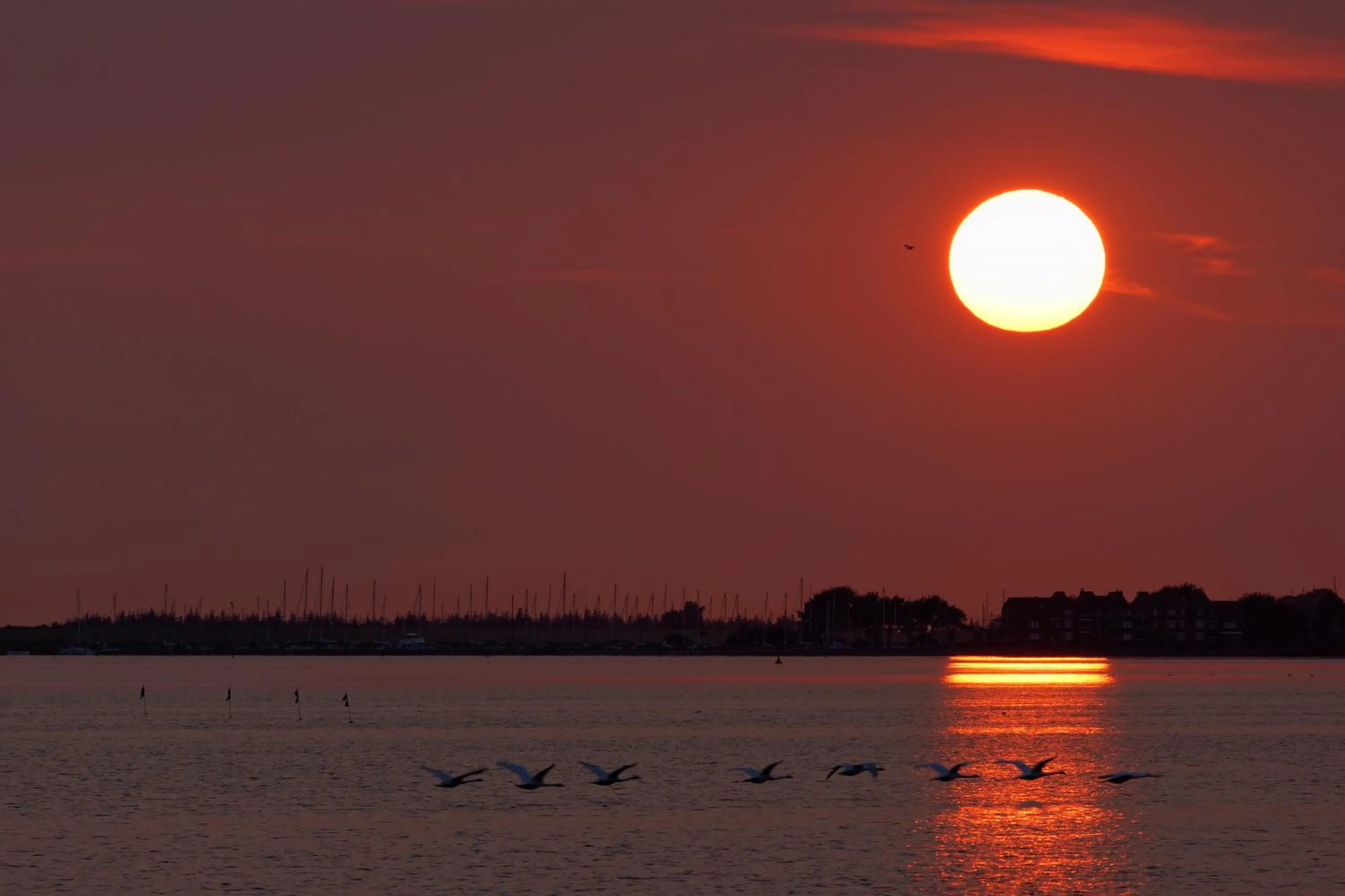 Beach in Haus Achtern Diek in erster Reihe am Meer
