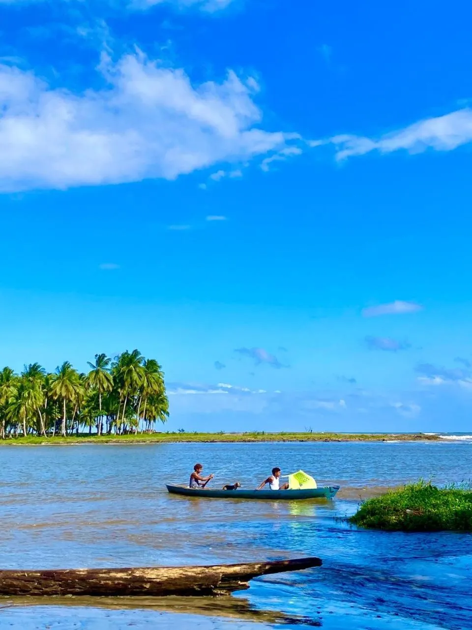 Rainforest Yasmin Hotel