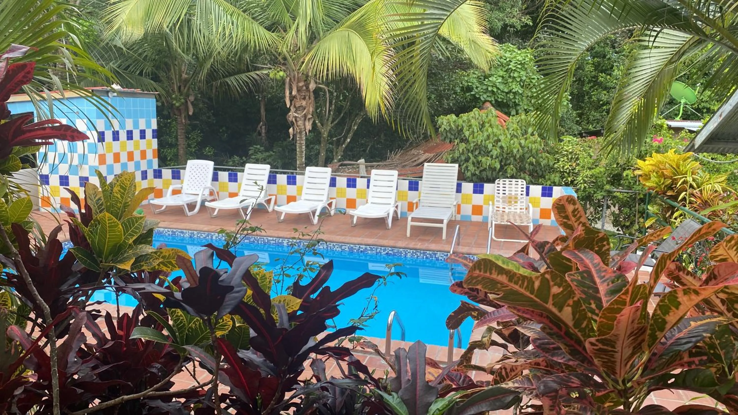 Rainforest Yasmin Hotel