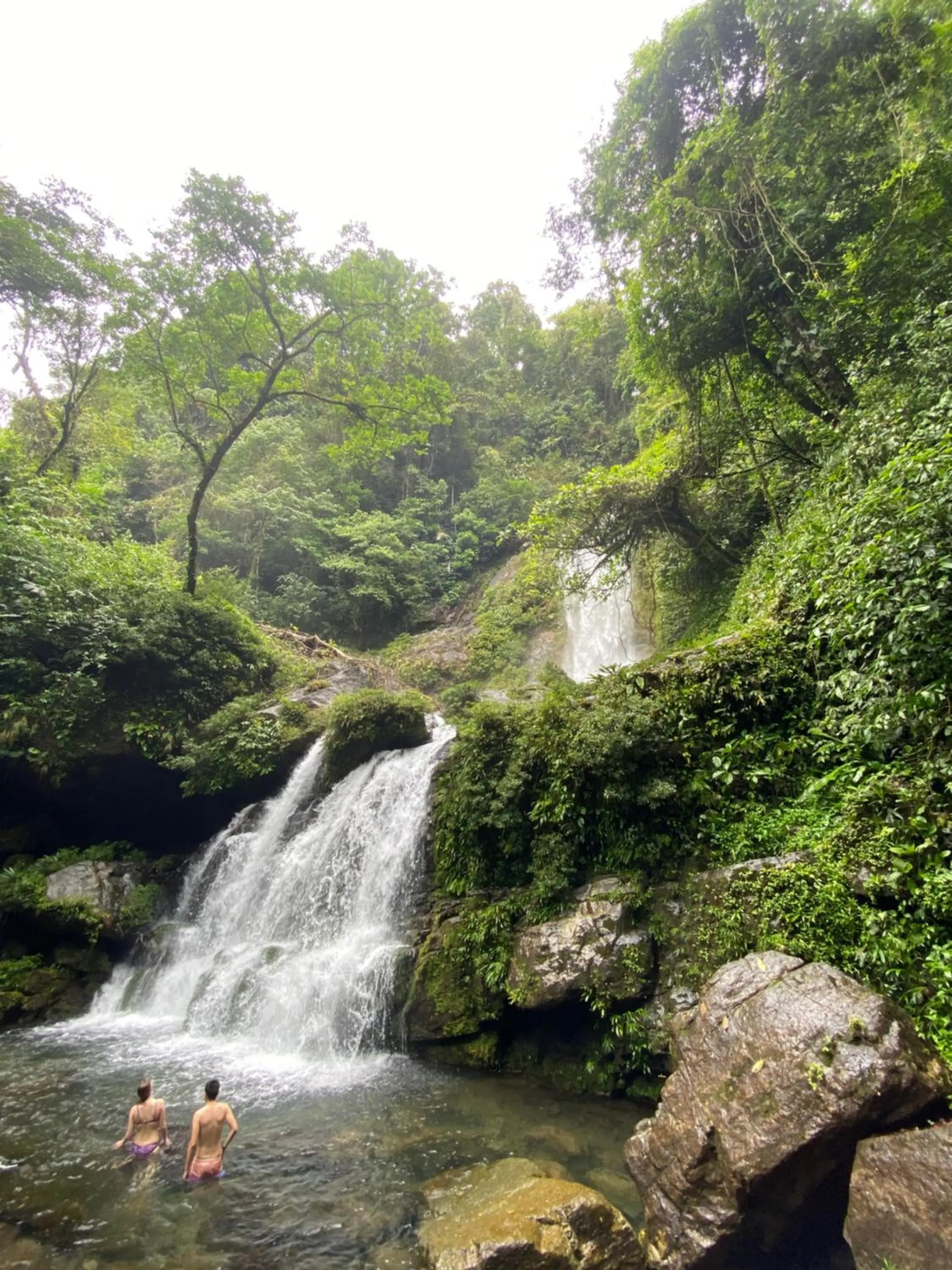 Rainforest Yasmin Hotel