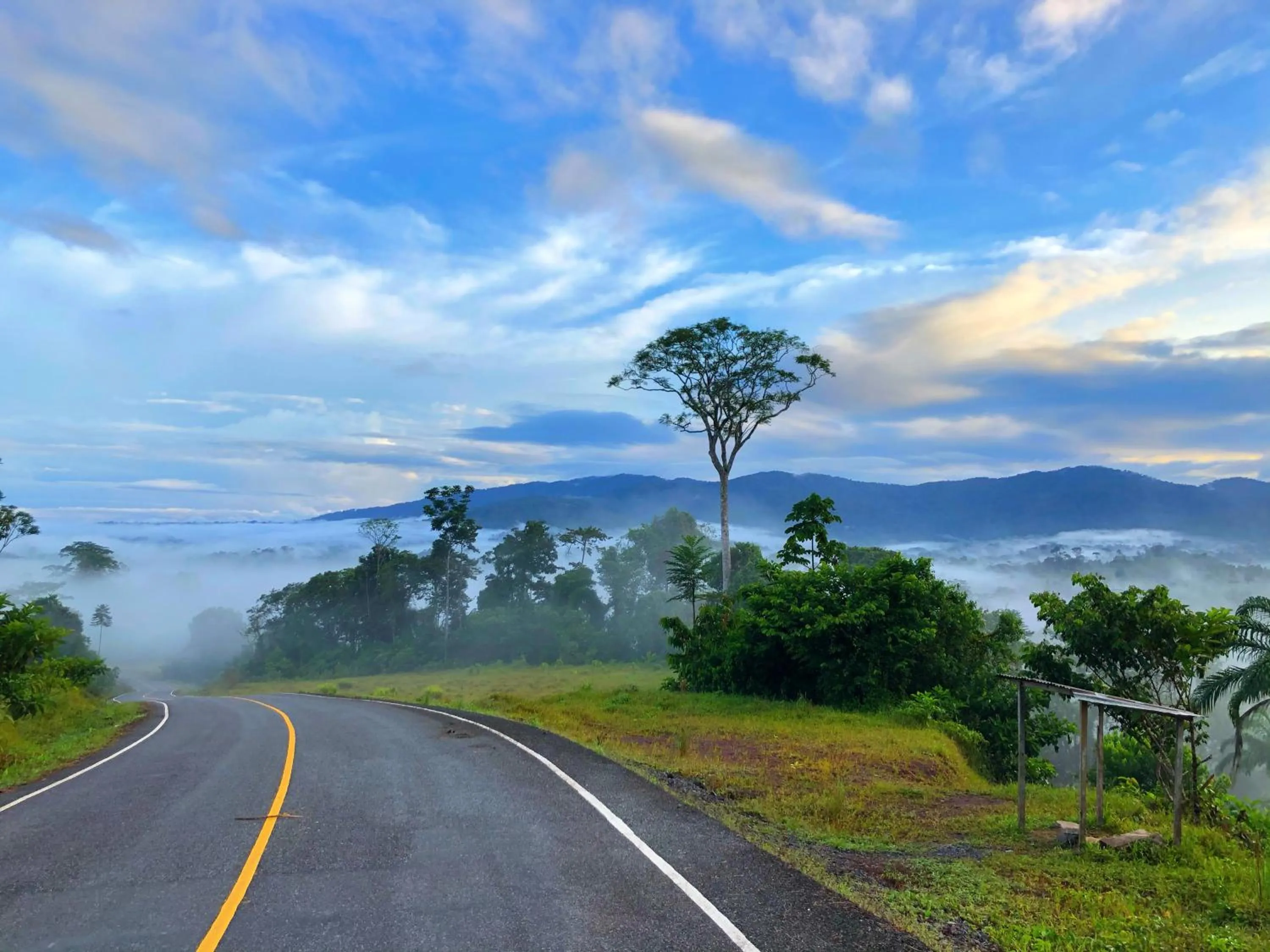 Rainforest Yasmin Hotel