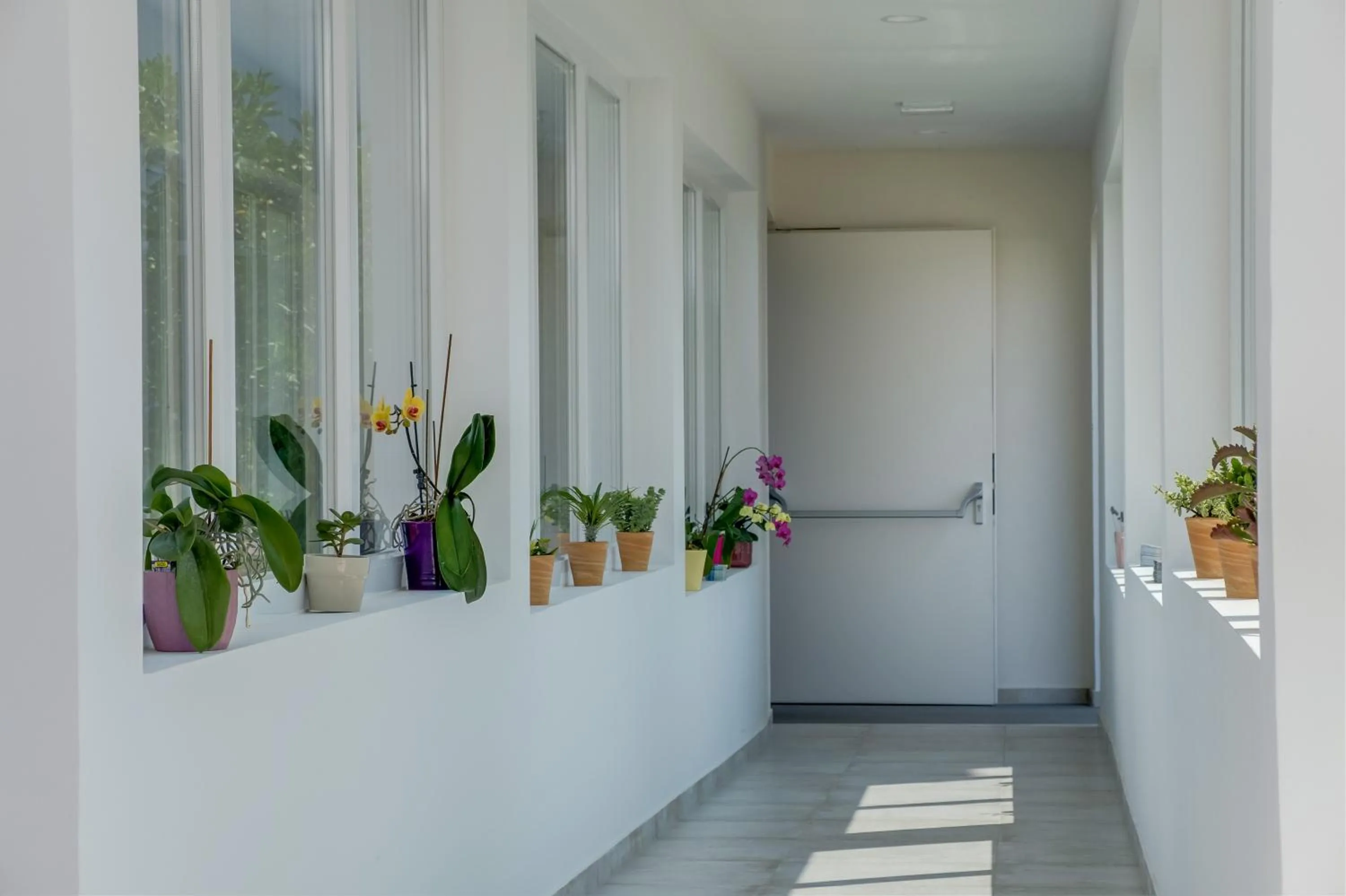 Property building in Hotel Manora