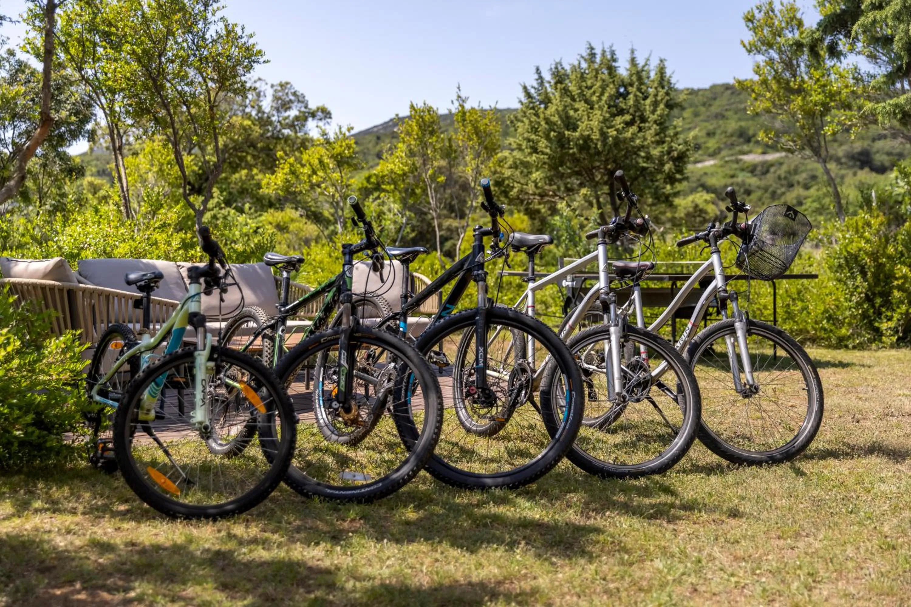 Cycling in Hotel Manora