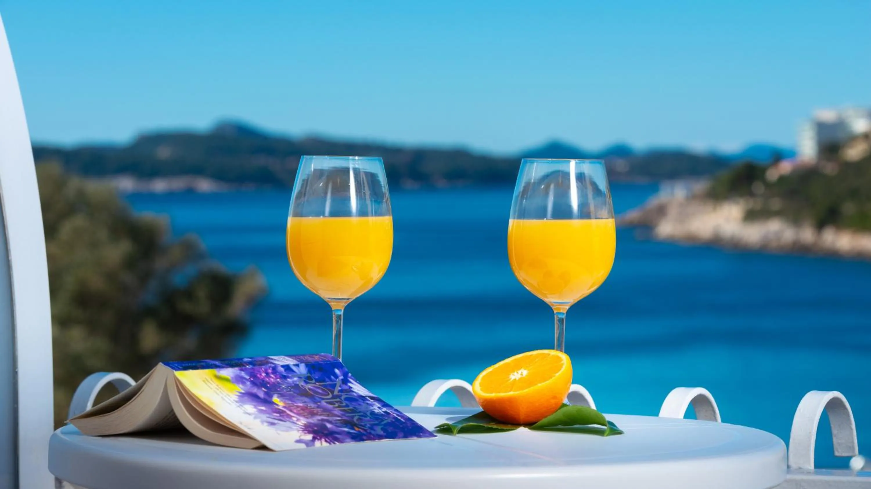 Balcony/Terrace in Hotel Komodor