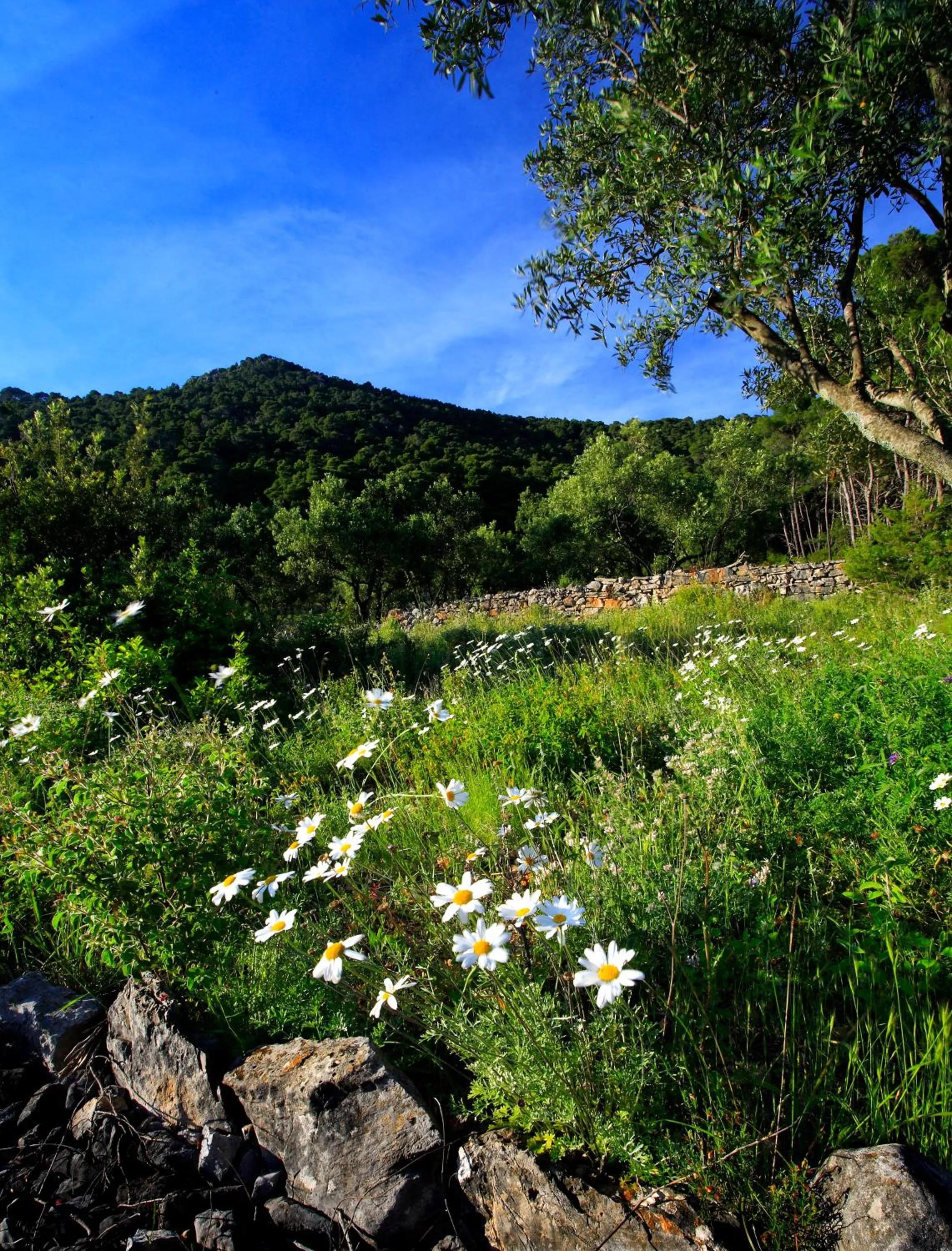 Area and facilities in Hotel Odisej