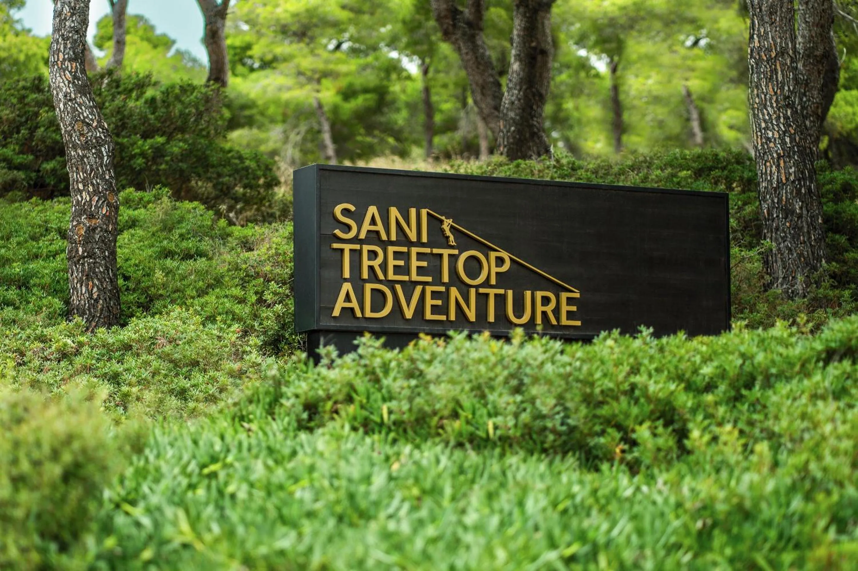Activities in Sani Dunes