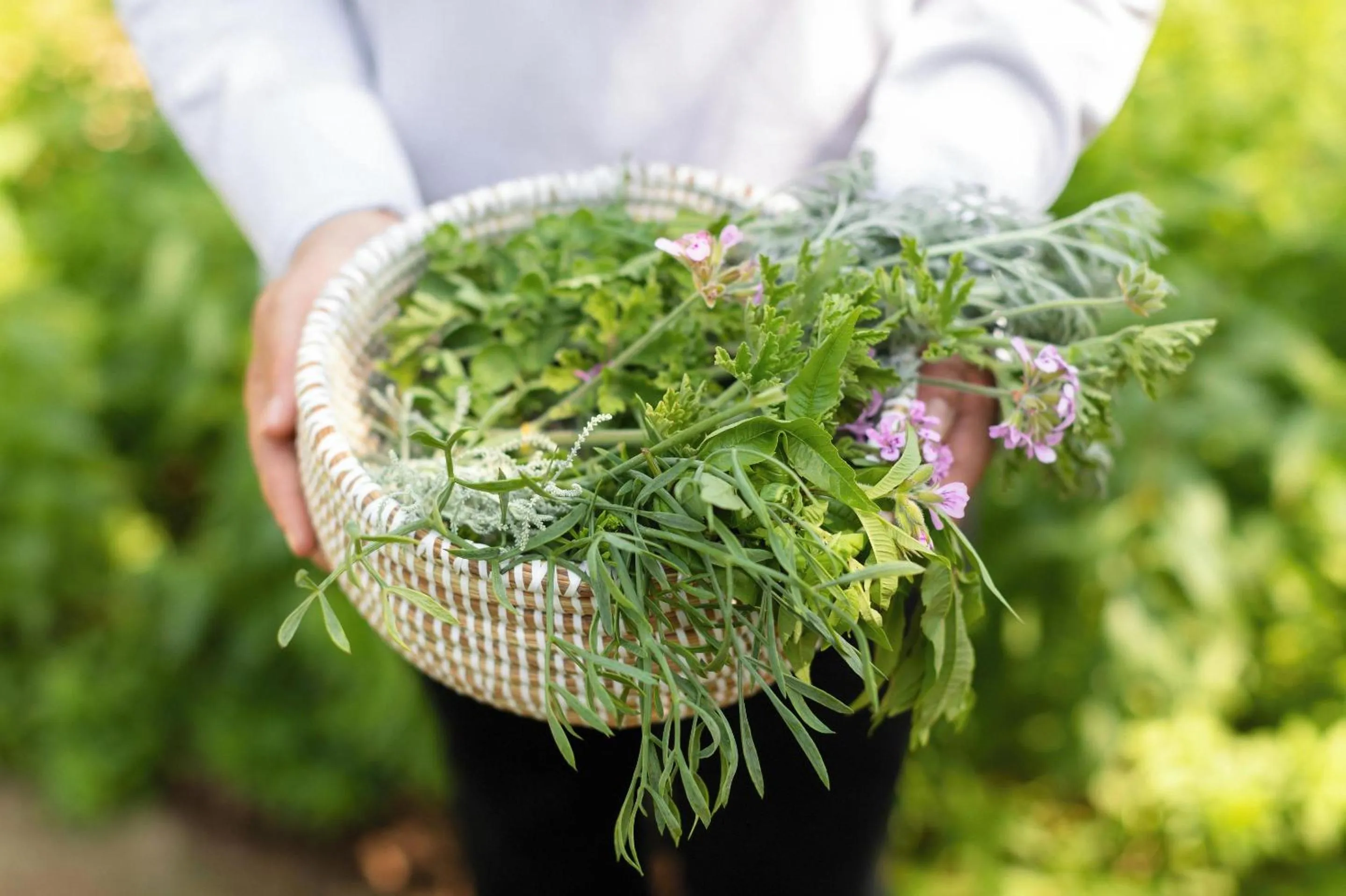 Garden in Sani Dunes