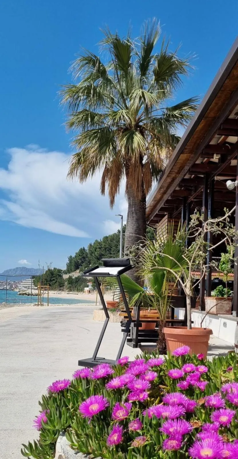 Sea view in Hotel San Antonio