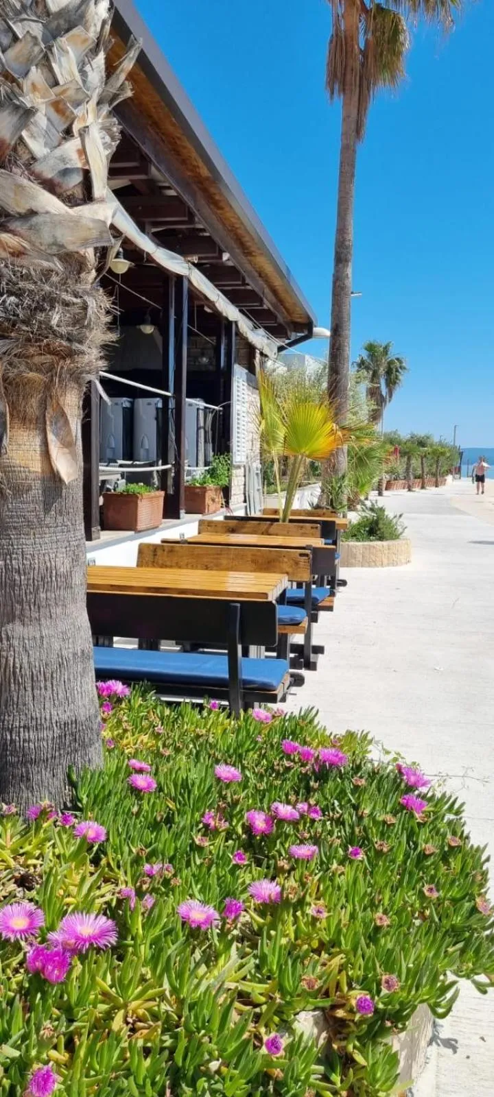 Patio in Hotel San Antonio