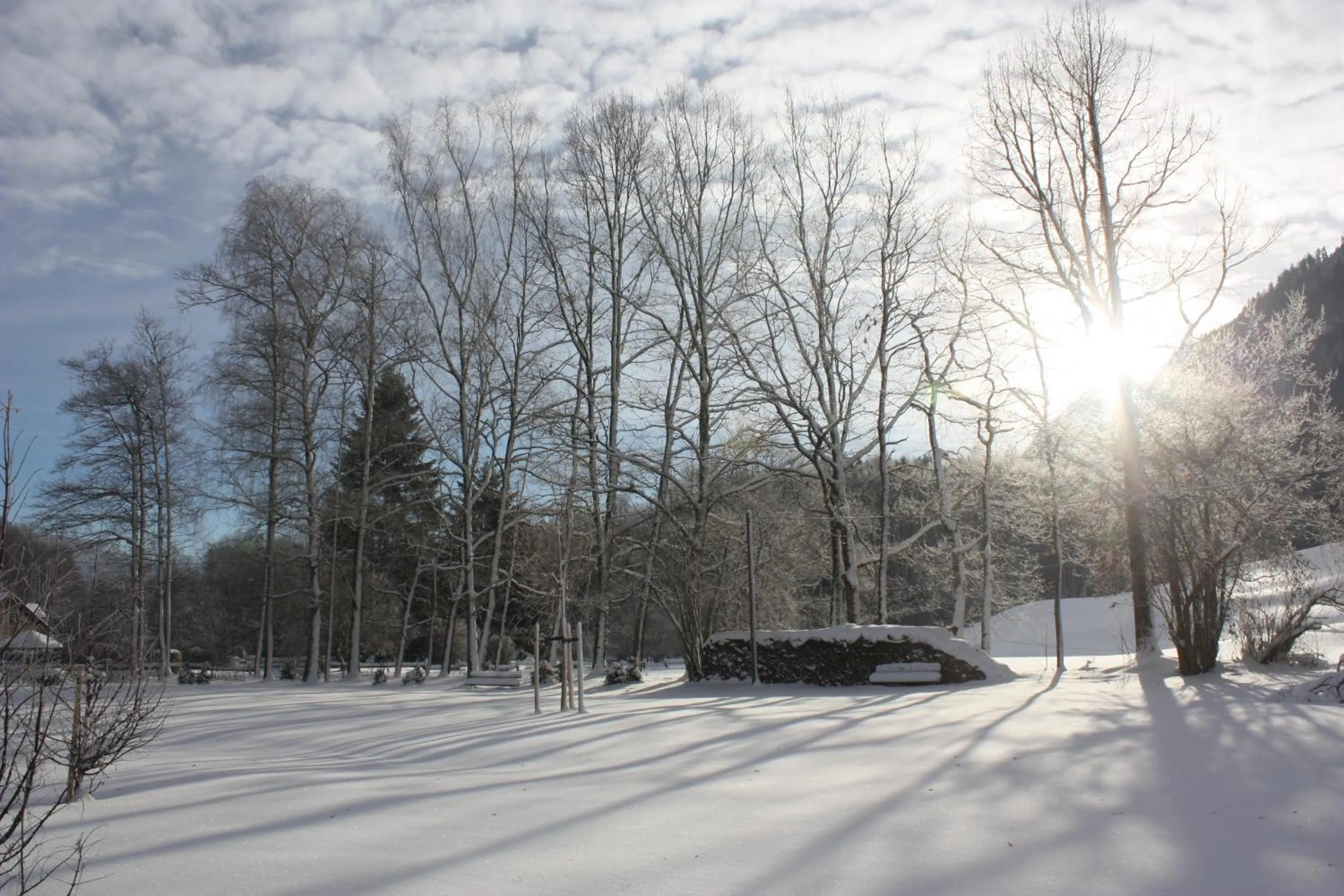 Natural landscape in Landlust Ischl
