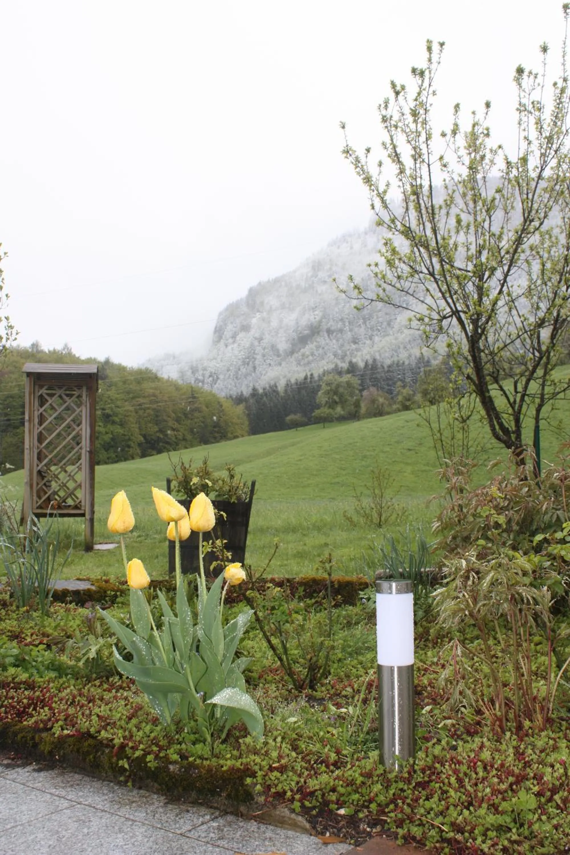 Property building in Landlust Ischl