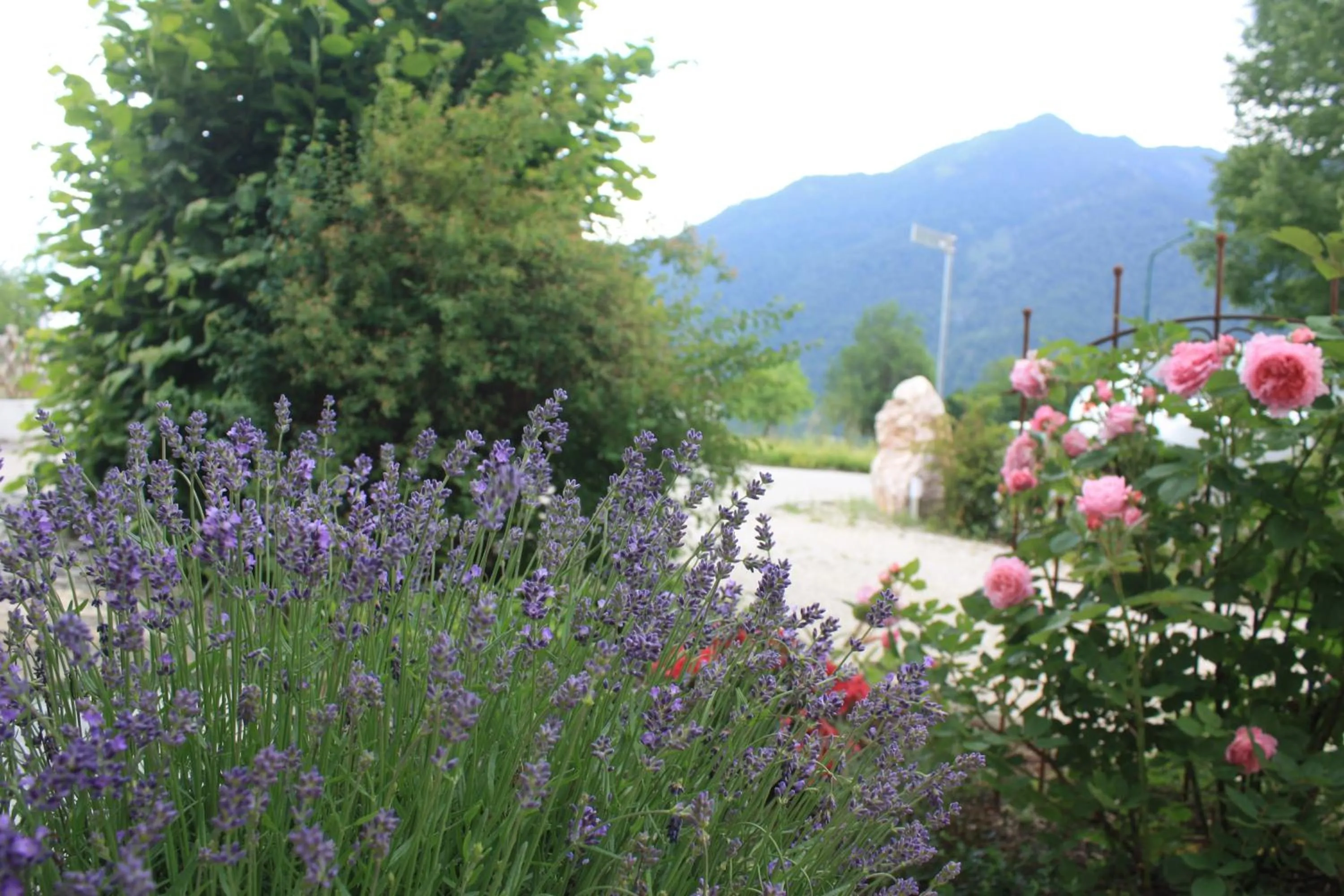 Garden in Landlust Ischl