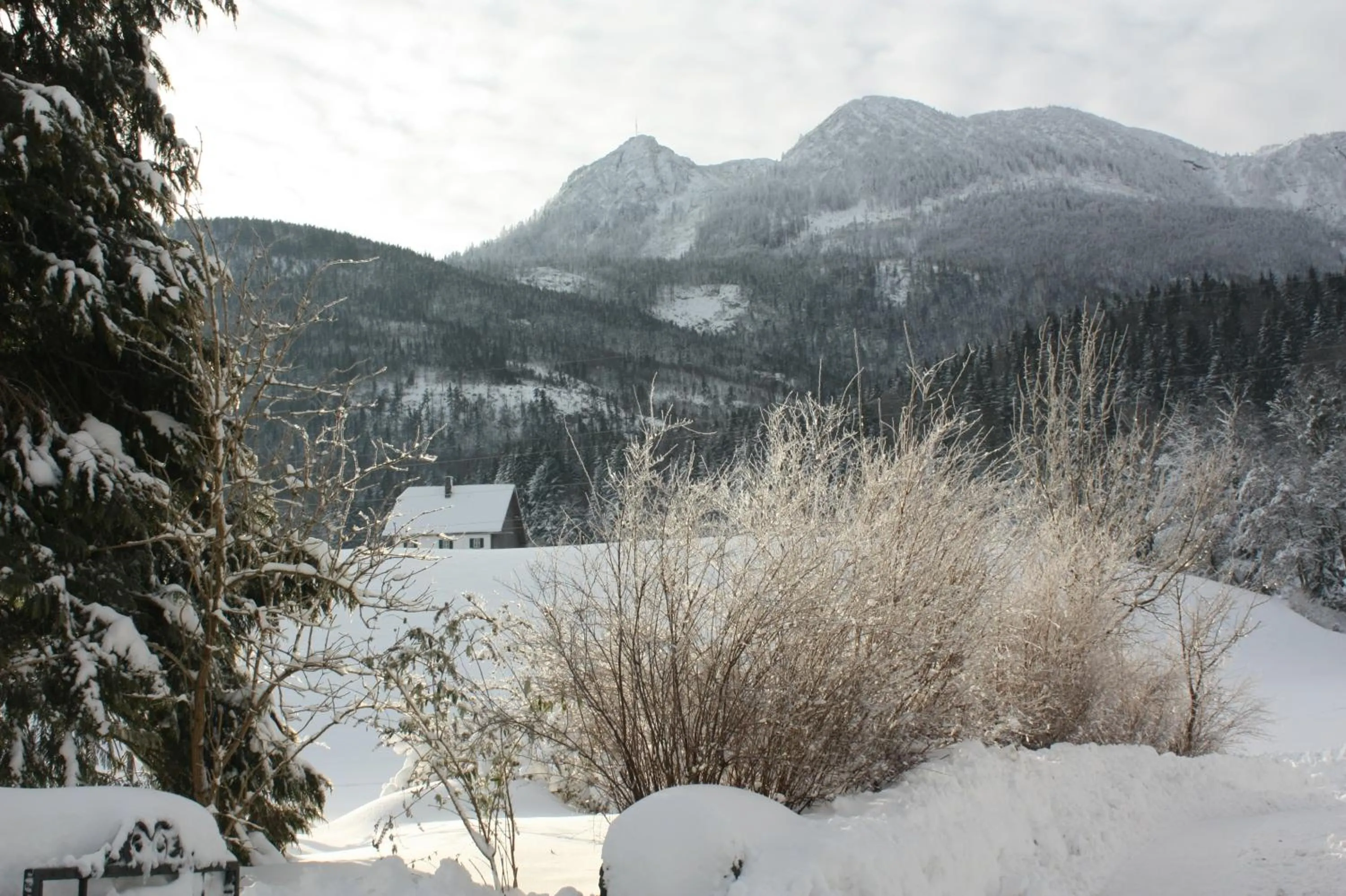 Natural landscape in Landlust Ischl