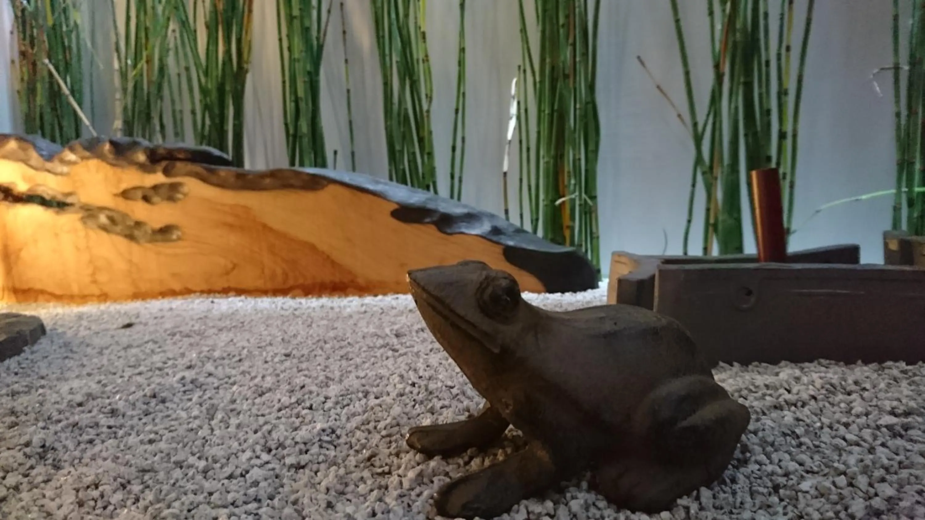 Yadoya Kyoto Shimogamo